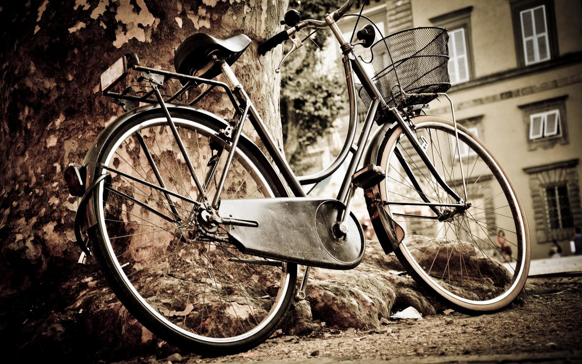 Best Bicycle wallpaper ID:134871 for High Resolution hd 1920x1200 PC