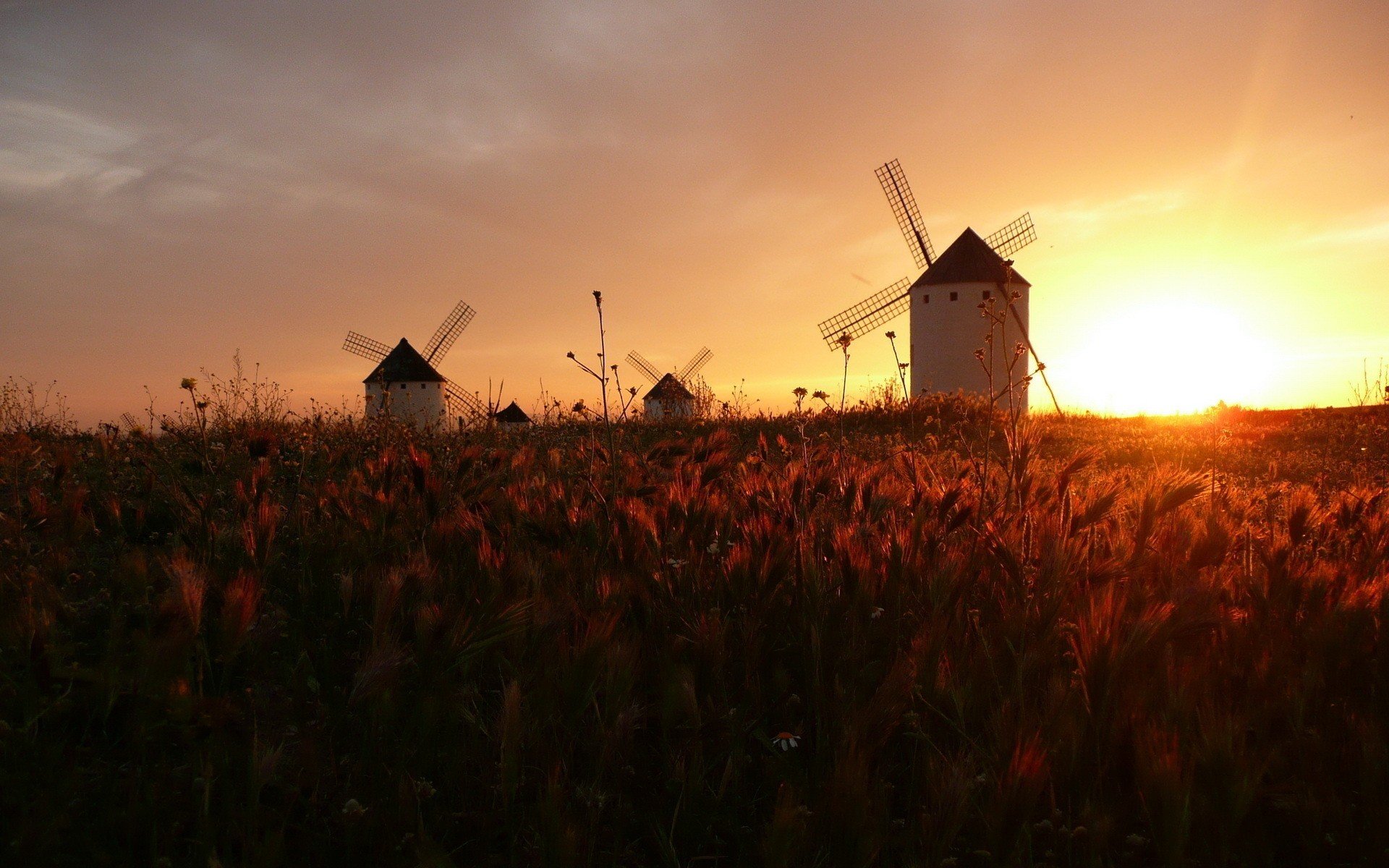 Download hd 1920x1200 Windmill PC background ID:482523 for free