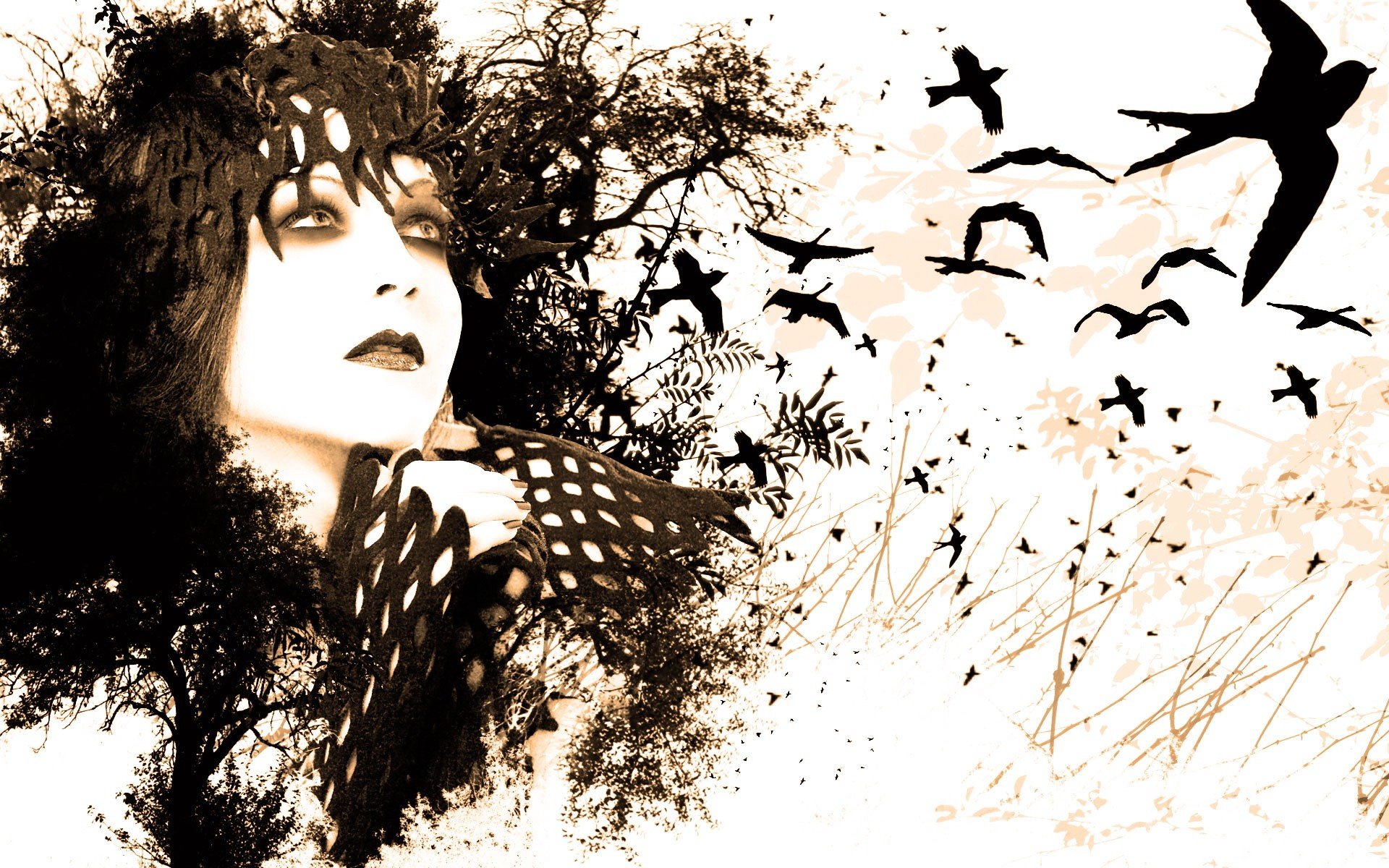 Free download Witch background ID:410609 hd 1920x1200 for computer