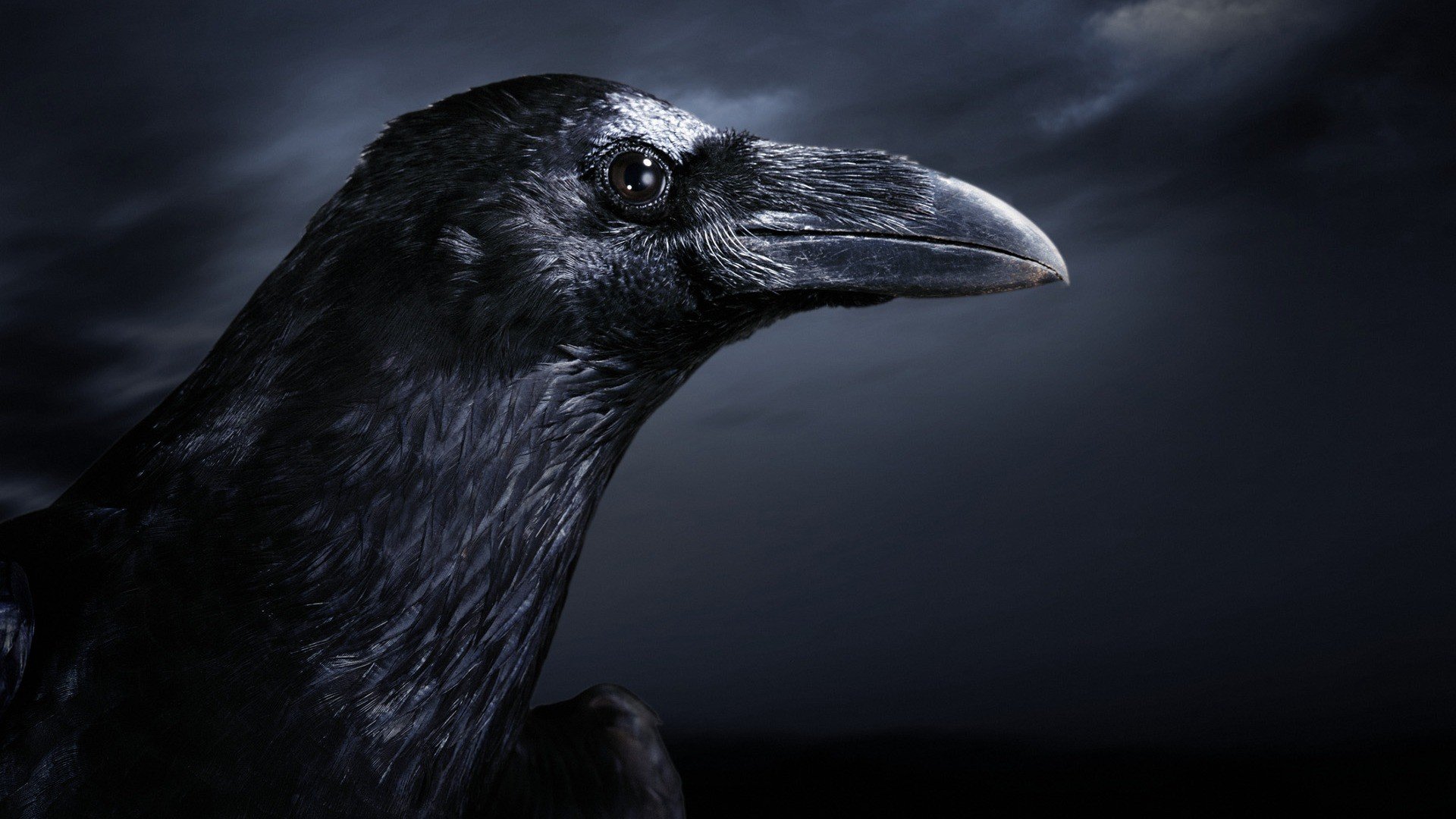 High resolution The Crow 1080p wallpaper ID:103071 for desktop