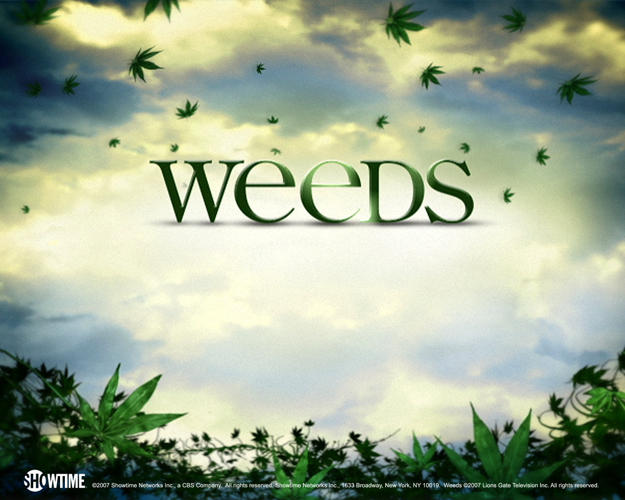 Download hd 1280x1024 Weeds PC background ID:373623 for free