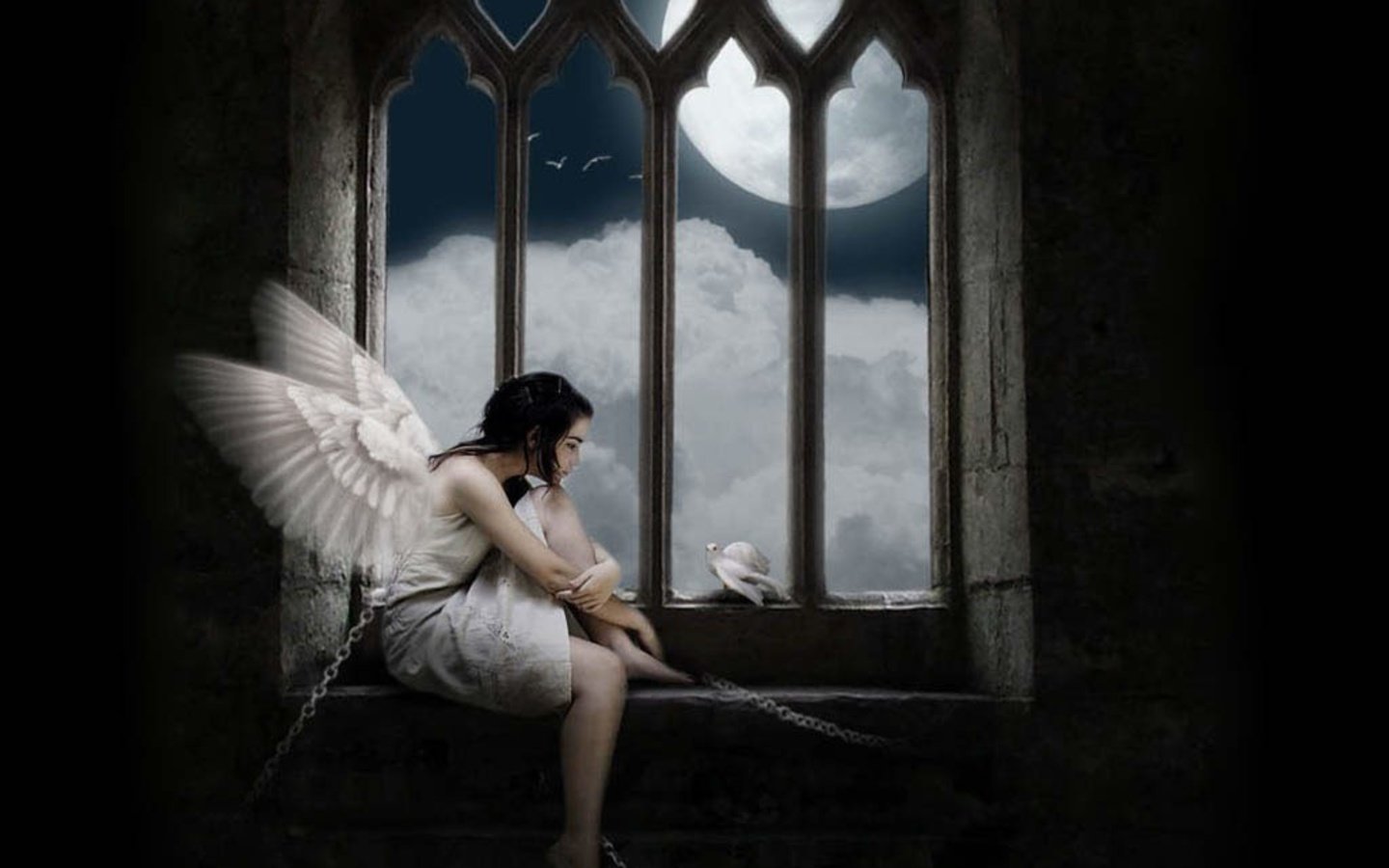 Free download Angel background ID:7292 hd 1440x900 for PC