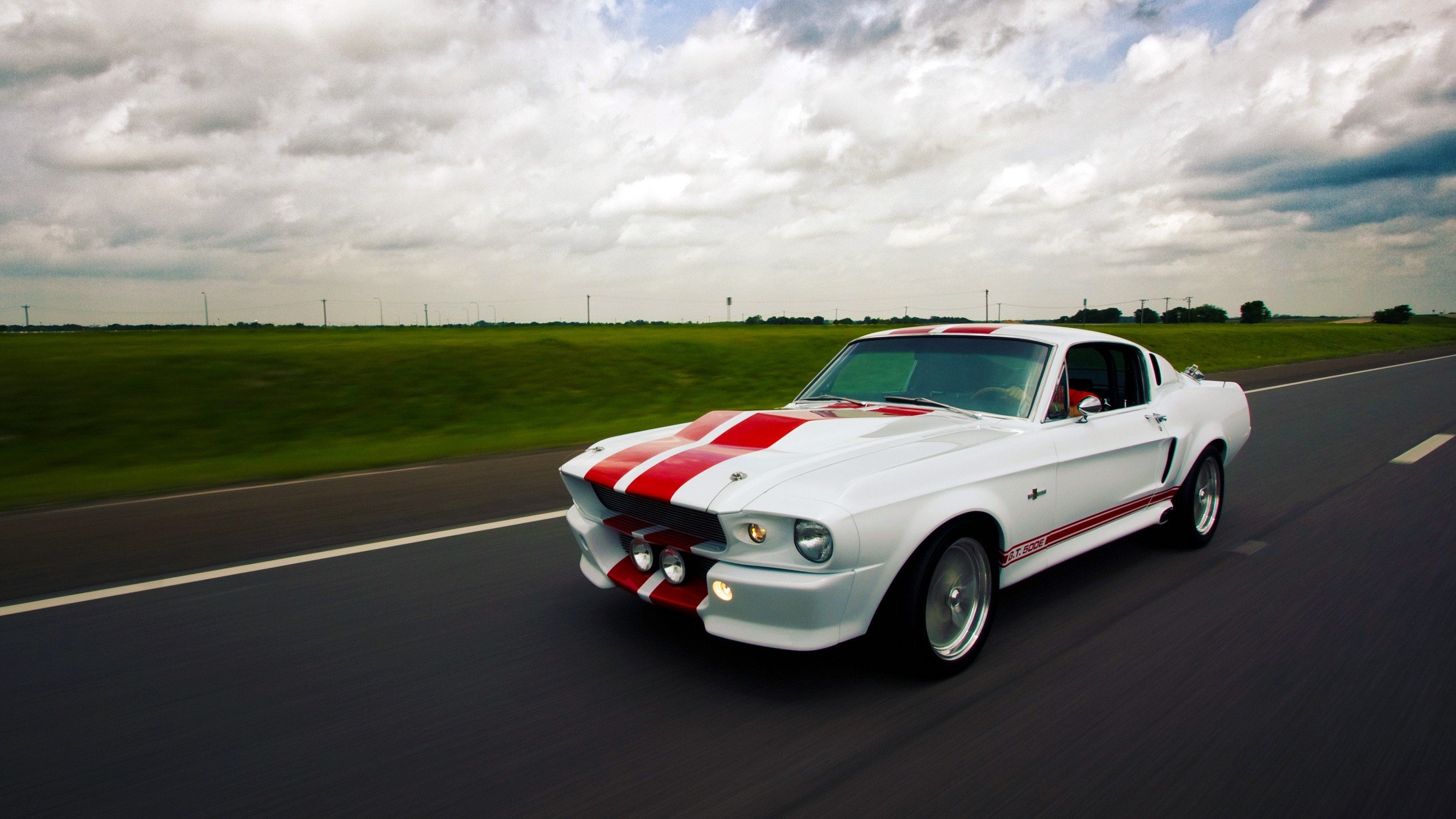 Awesome Ford Mustang free background ID:205728 for hd 2560x1440 desktop