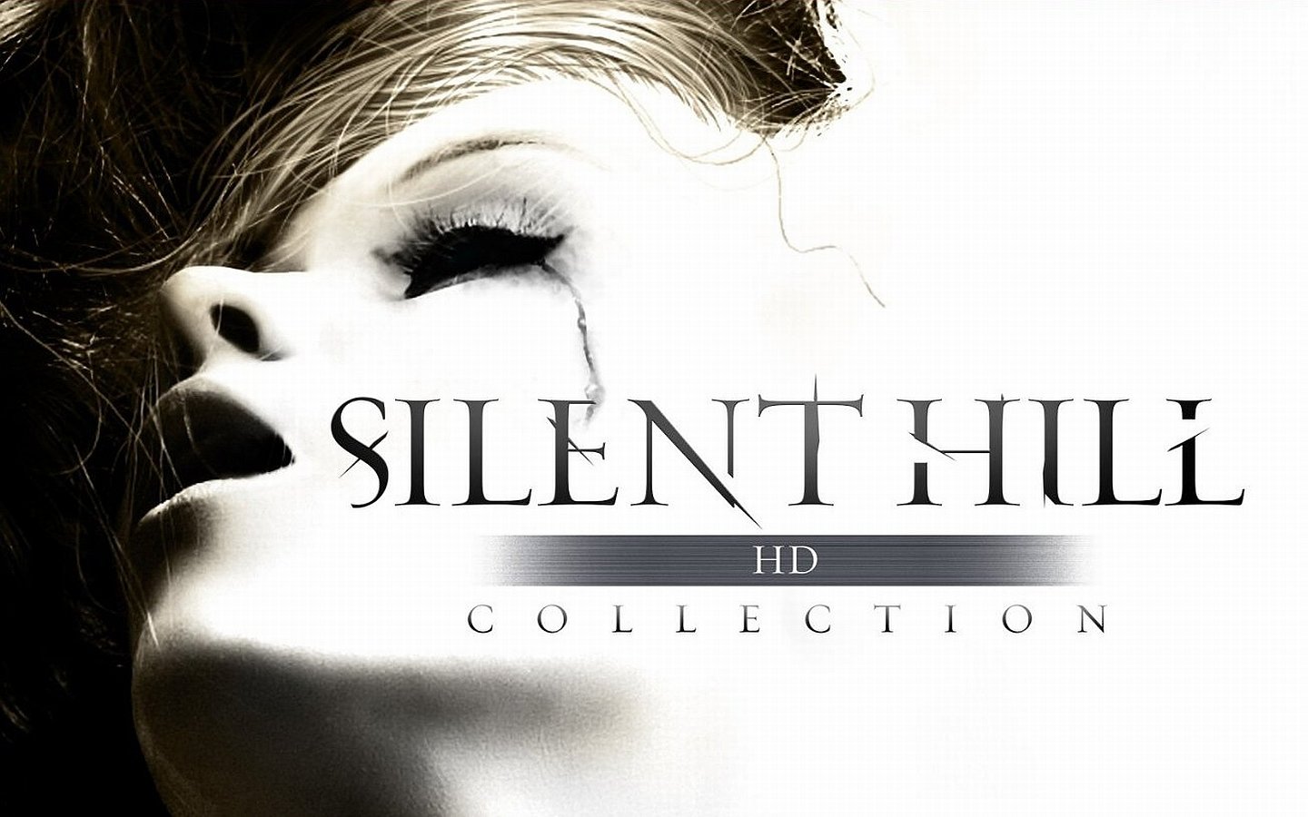 Awesome Silent Hill free wallpaper ID:53915 for hd 1440x900 computer