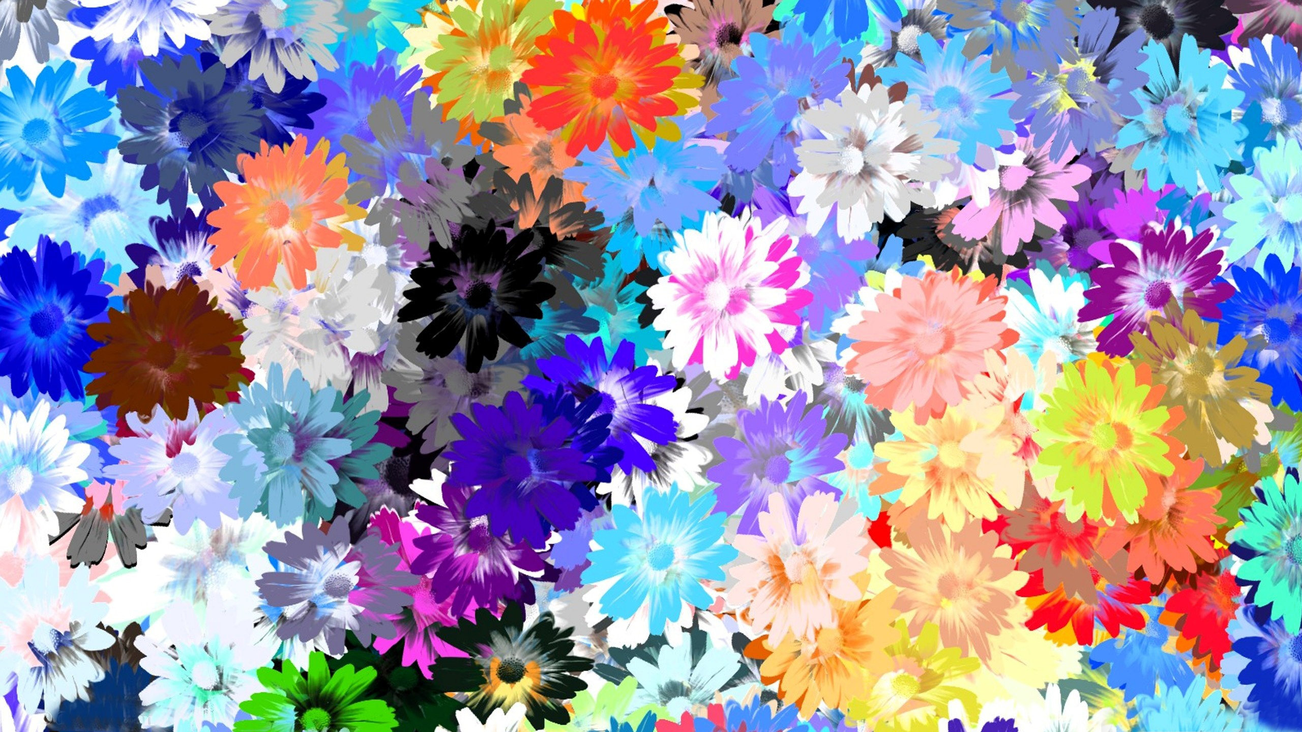 Best Cool flower wallpaper ID:75648 for High Resolution hd 2560x1440 desktop
