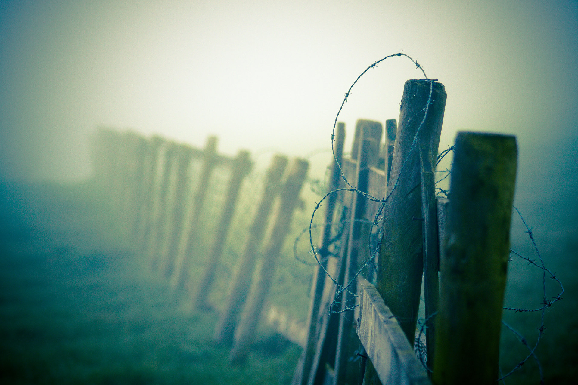Free Fence high quality background ID:23105 for hd 1920x1280 PC
