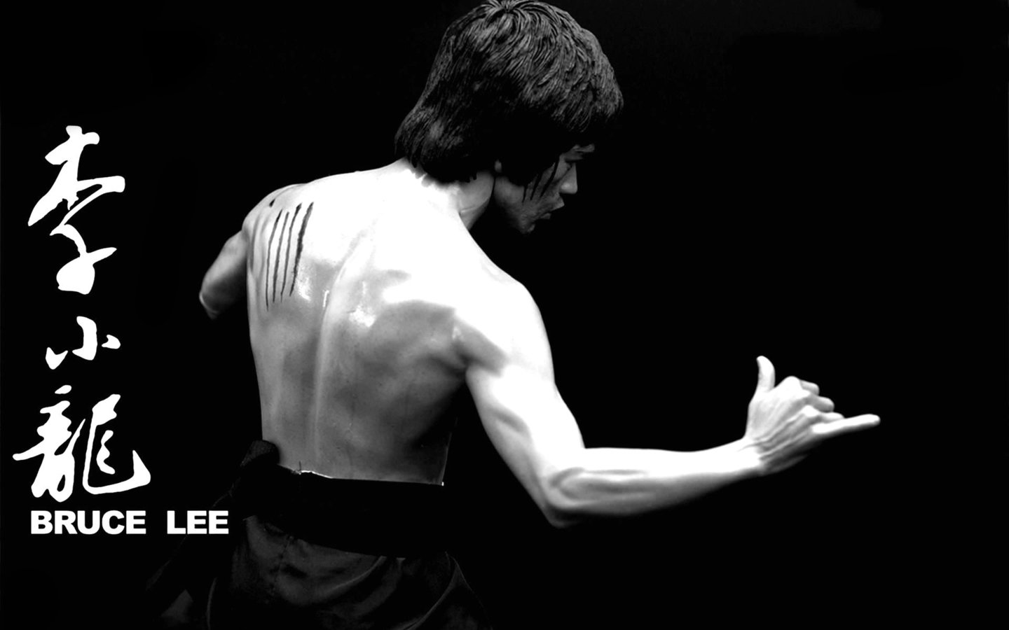 High resolution Bruce Lee hd 1440x900 background ID:381067 for PC