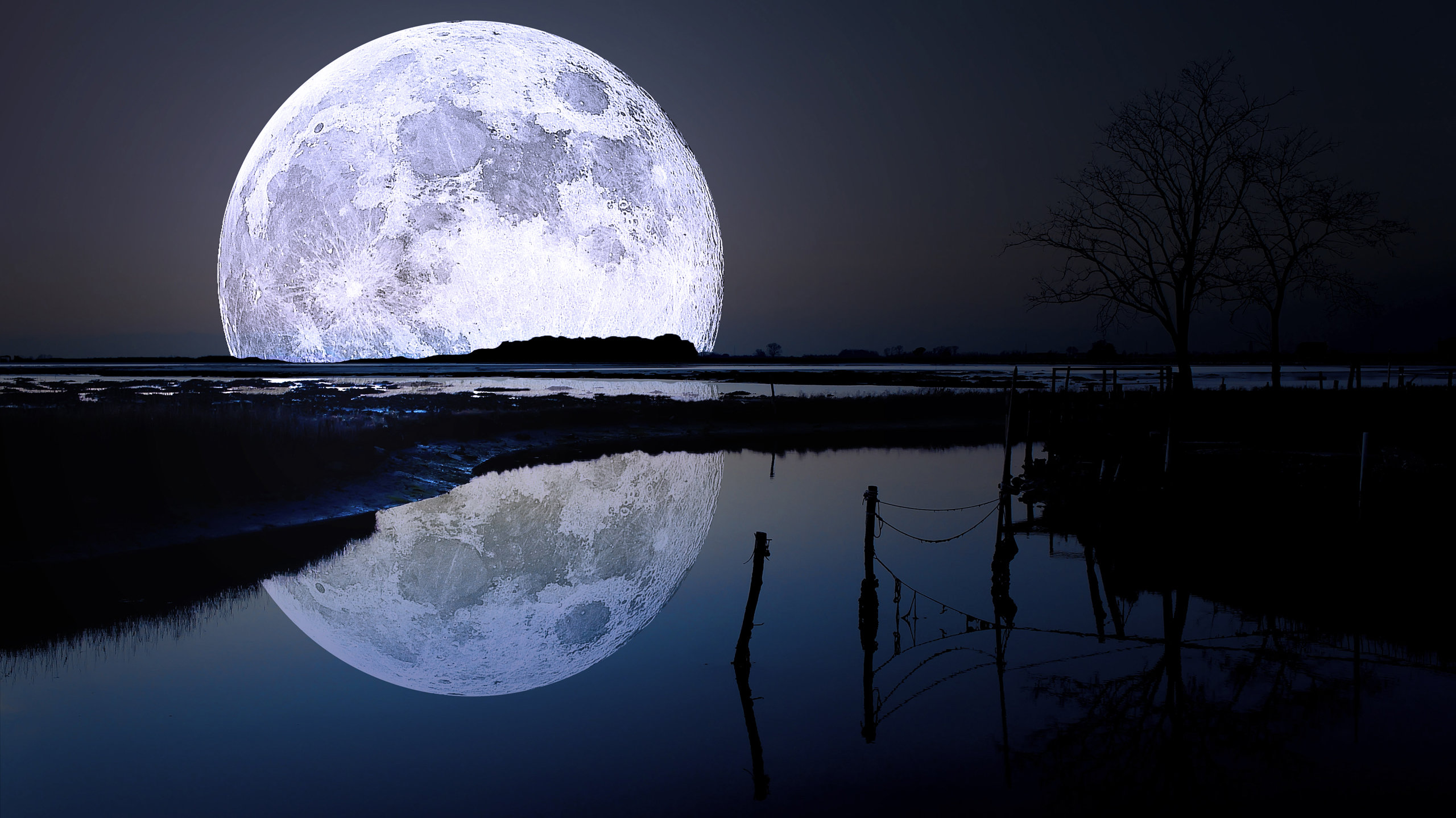 Awesome Reflection free wallpaper ID:217652 for hd 2560x1440 desktop
