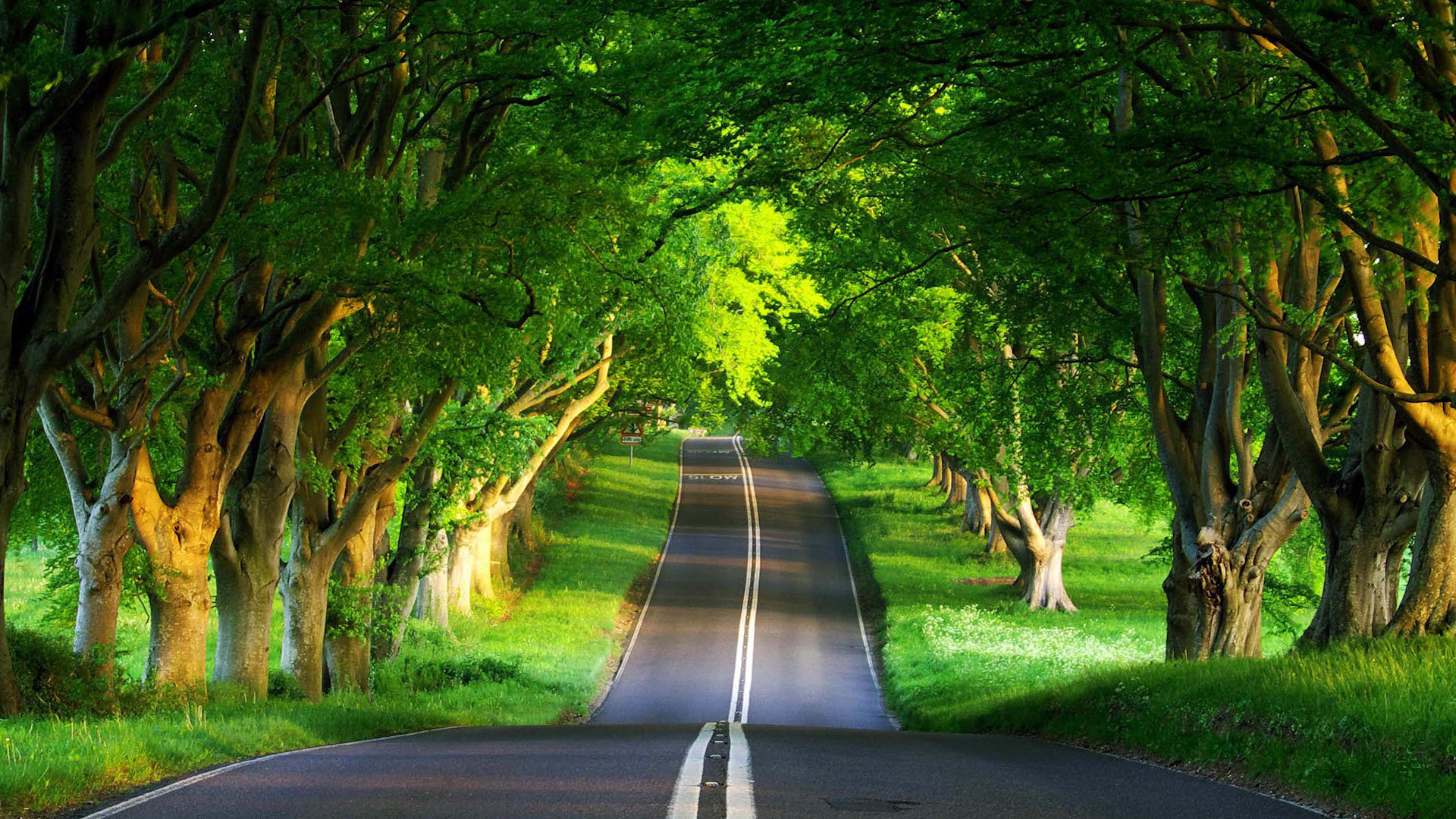 Free download Road background ID:491282 full hd for computer