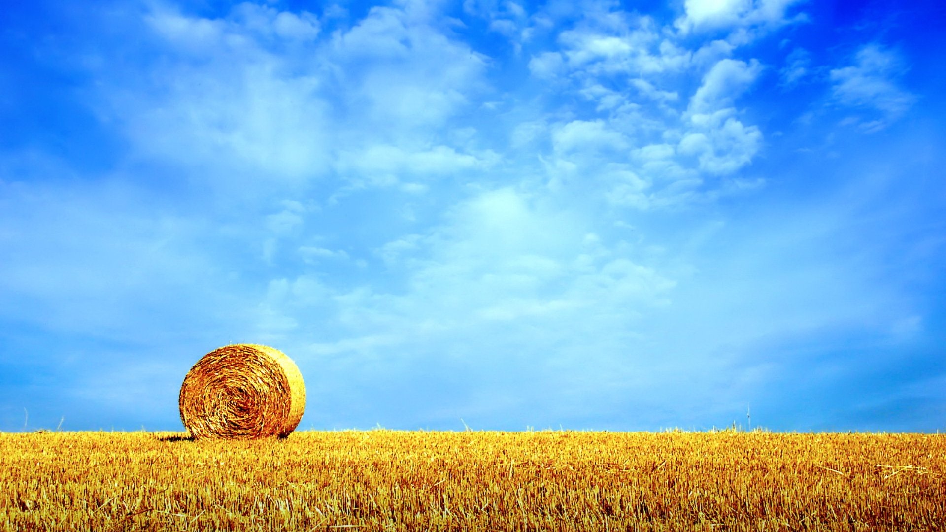 Free Field high quality background ID:70656 for 1080p computer