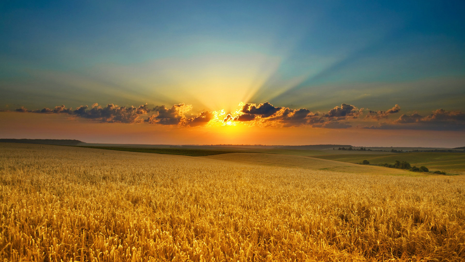Free download Field background ID:70655 full hd 1920x1080 for PC