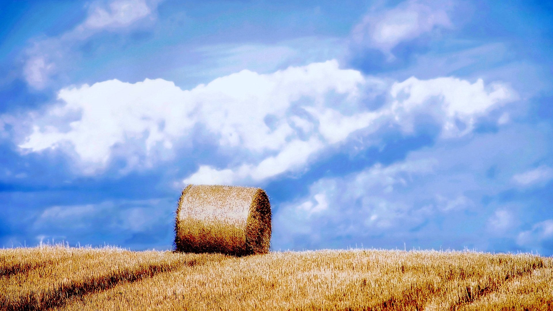 Free Field high quality background ID:70829 for full hd desktop
