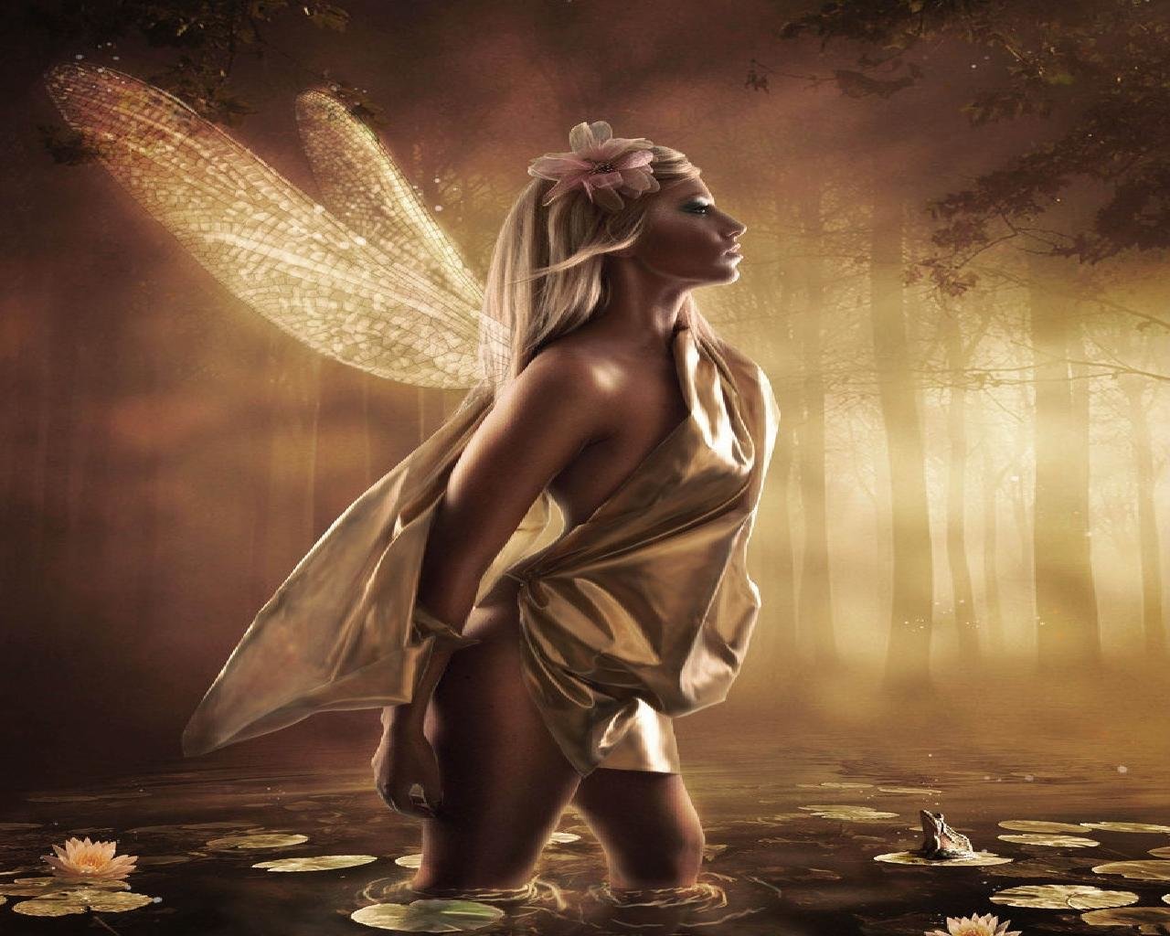 High resolution Fairy hd 1280x1024 background ID:96485 for PC