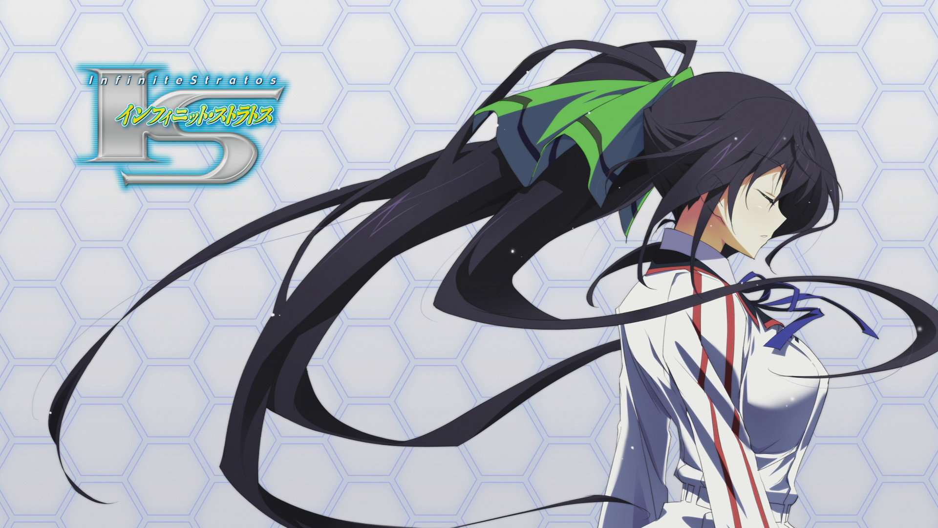 Awesome Infinite Stratos free wallpaper ID:163036 for hd 1920x1080 PC