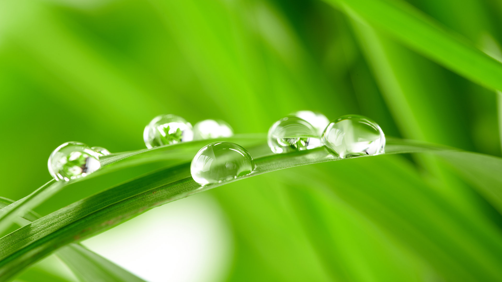 Free download Water Drop wallpaper ID:430380 full hd for PC