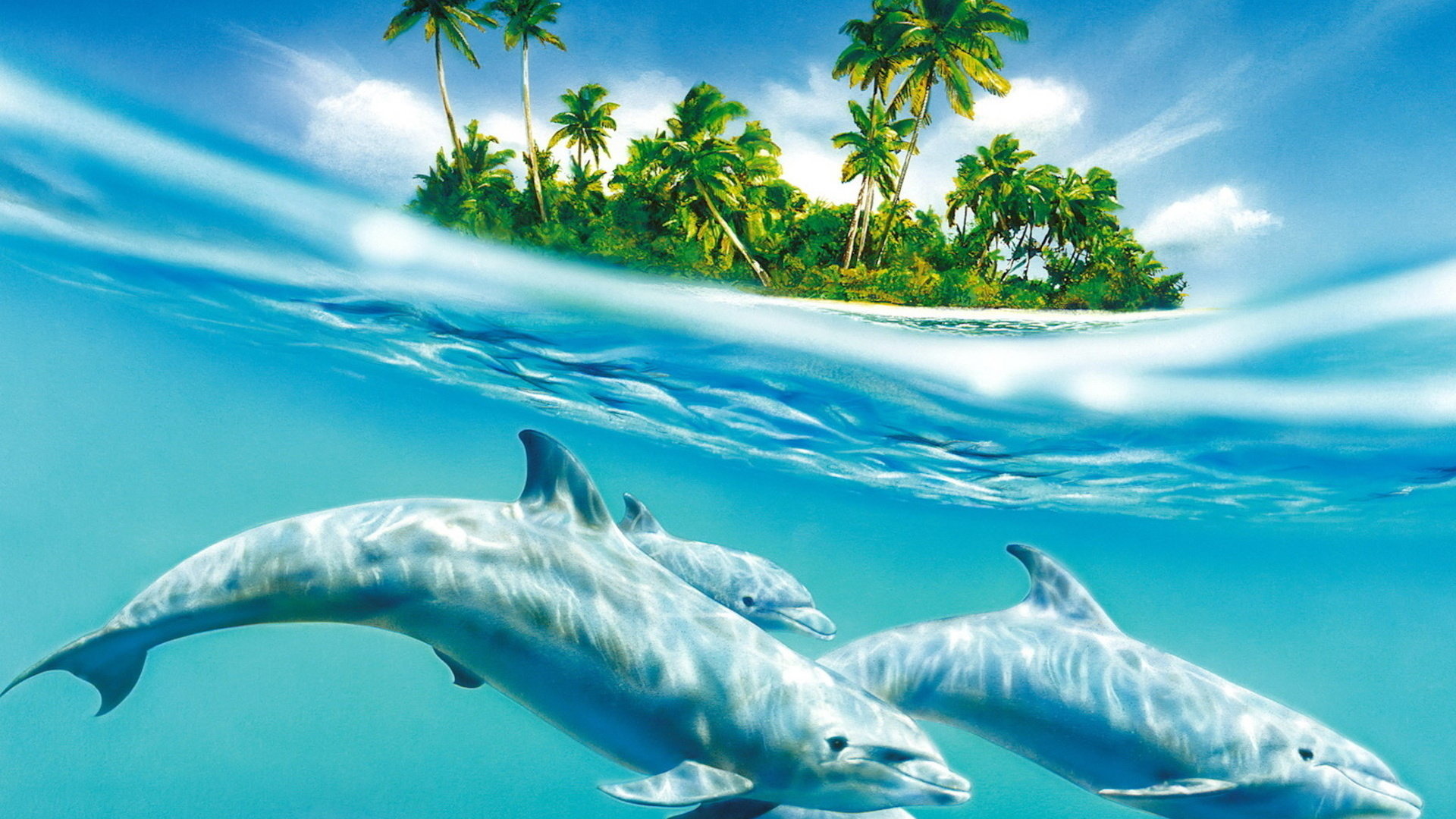 Download hd 1920x1080 Dolphin PC background ID:248375 for free