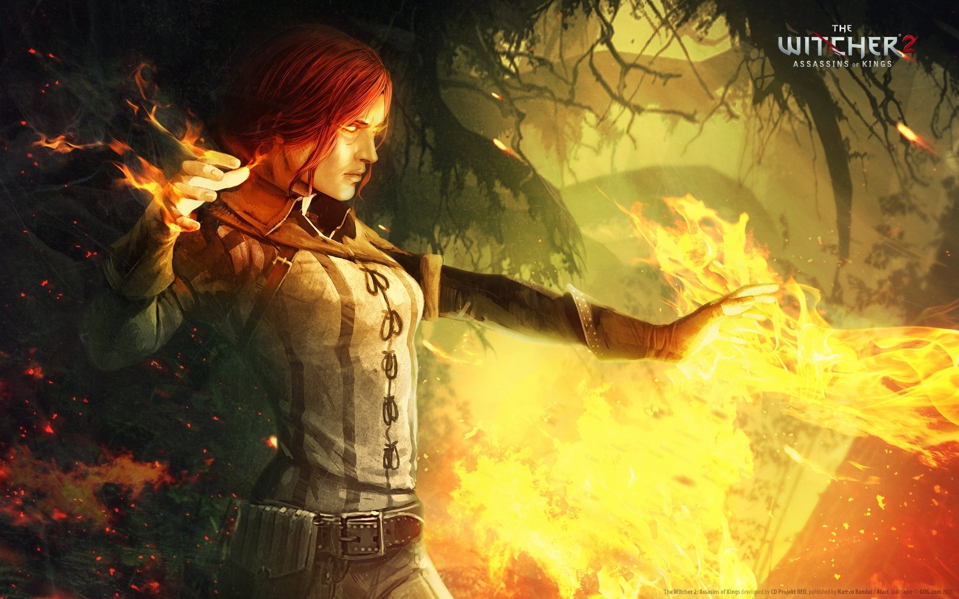 Download hd 1920x1200 The Witcher 2: Assassins Of Kings PC background ID:52436 for free