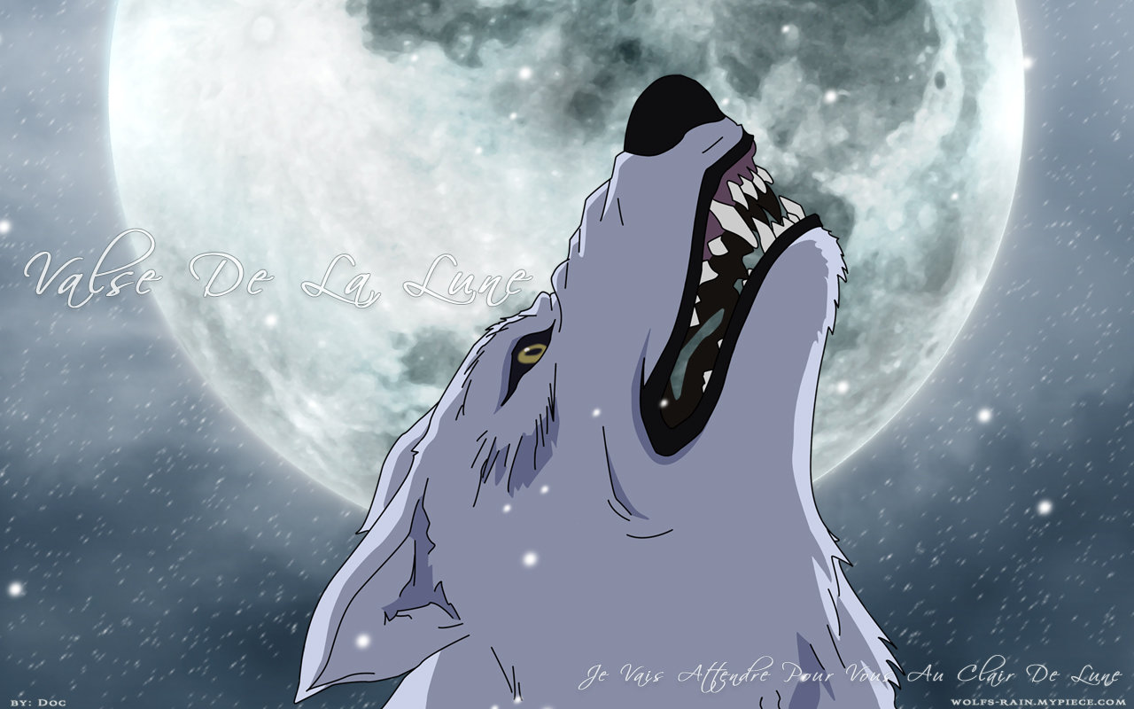 High resolution Wolf's Rain hd 1280x800 background ID:294356 for computer