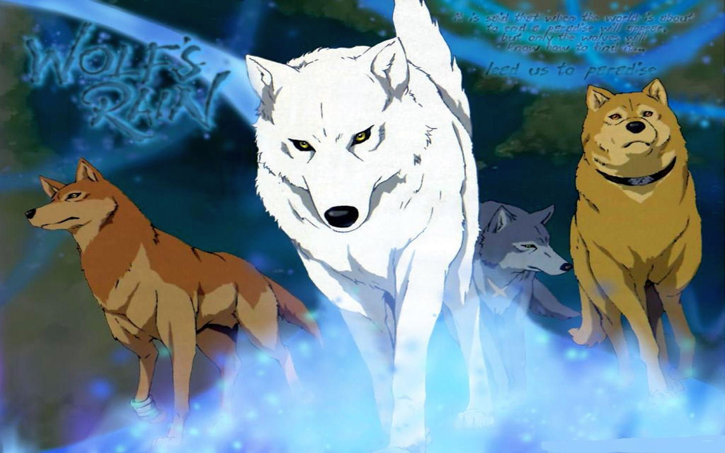 Download hd 1440x900 Wolf's Rain PC background ID:294358 for free
