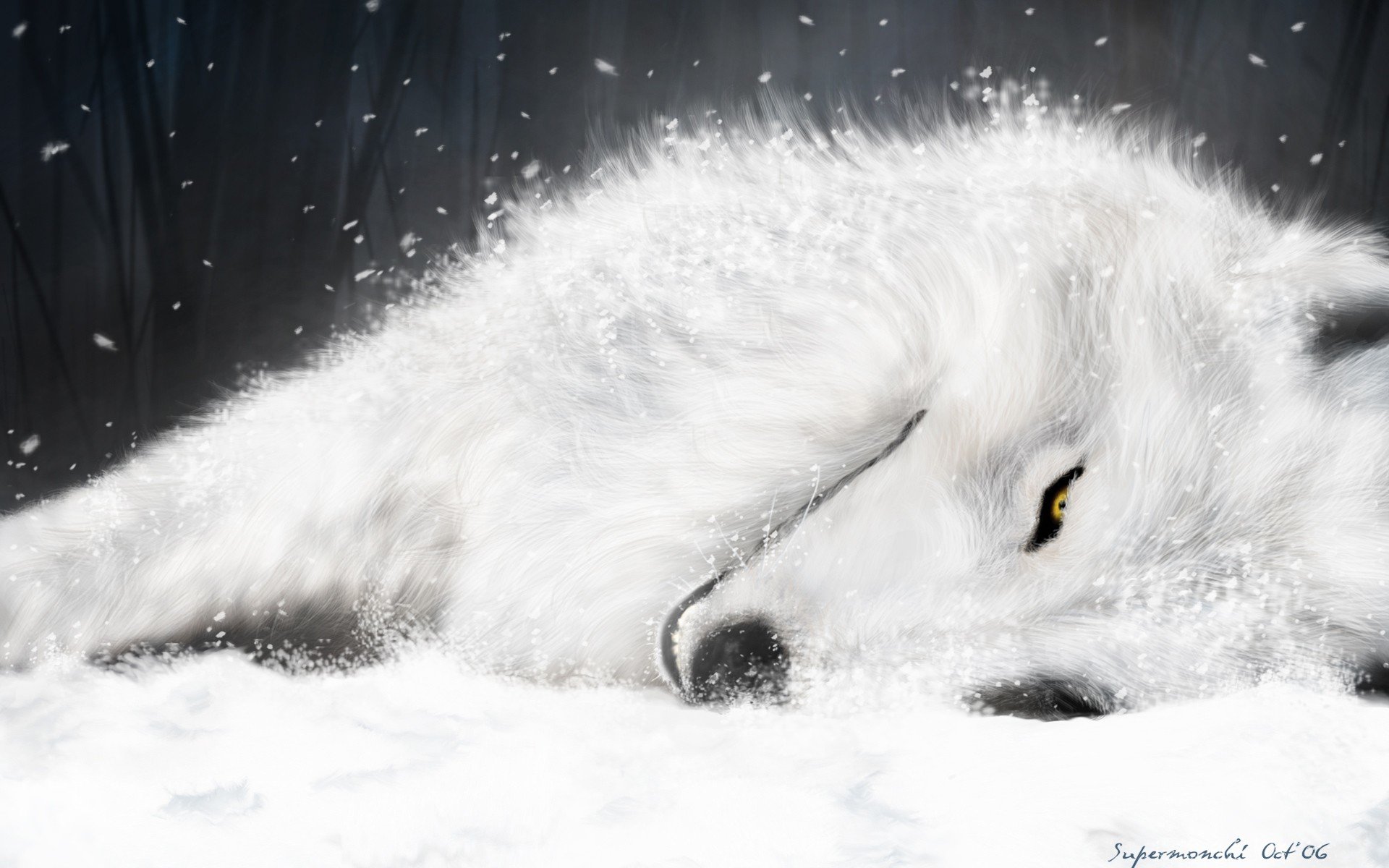 Best Wolf's Rain background ID:294348 for High Resolution hd 1920x1200 computer