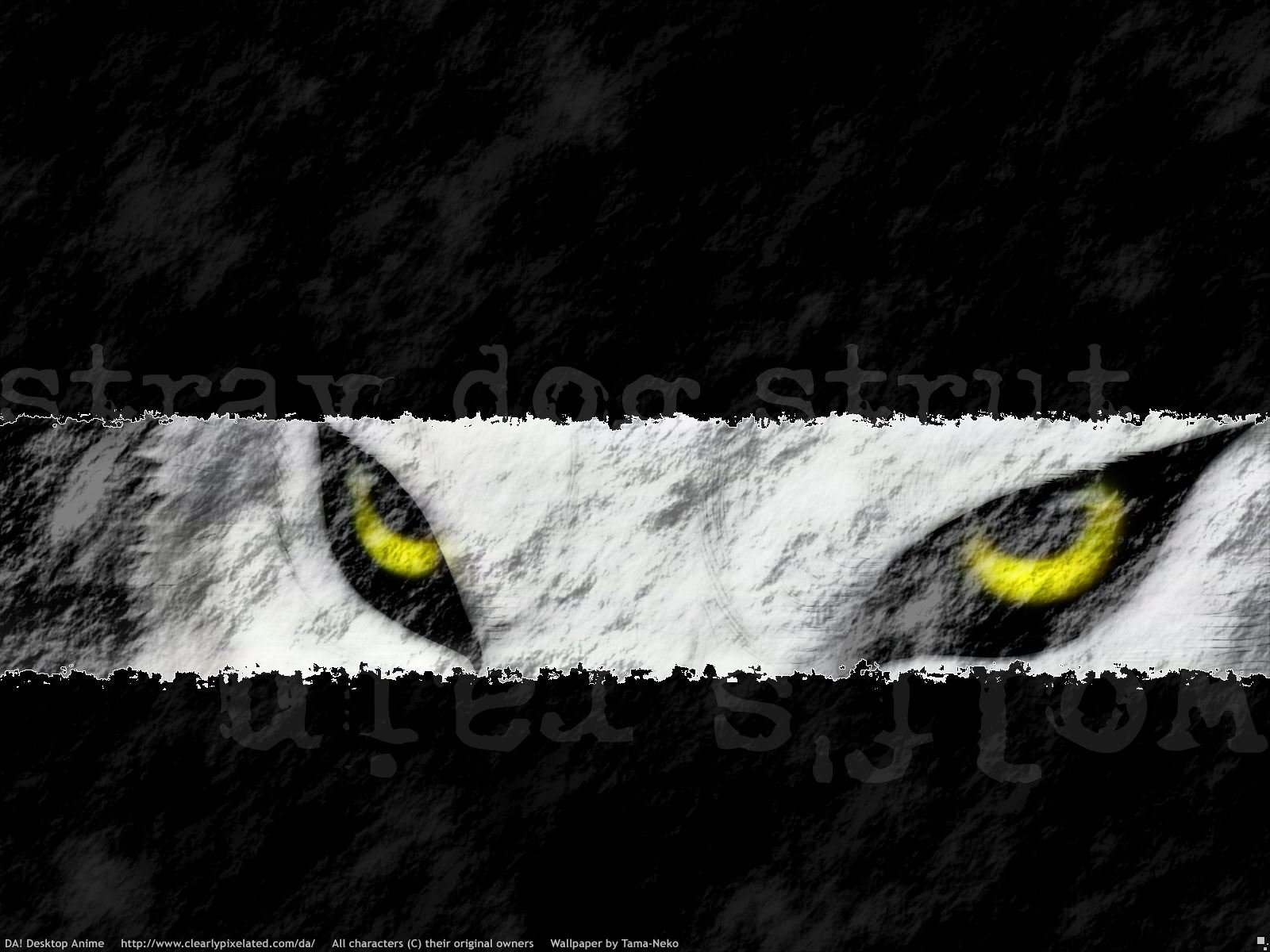 Best Wolf's Rain wallpaper ID:294349 for High Resolution hd 1600x1200 PC