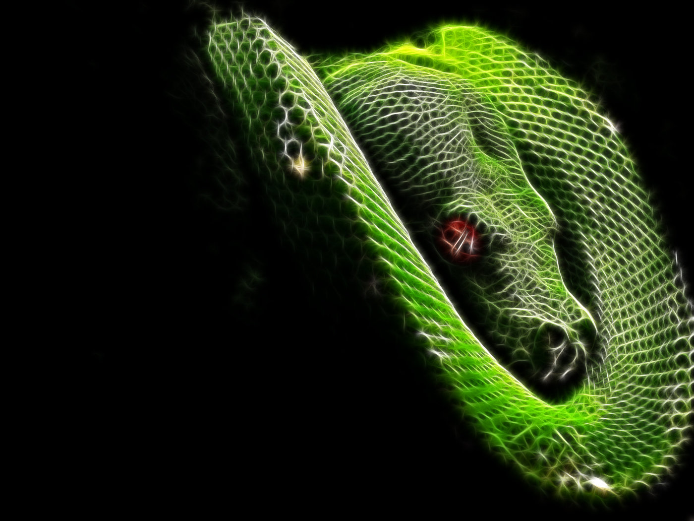 Free Snake high quality wallpaper ID:137298 for hd 1400x1050 computer