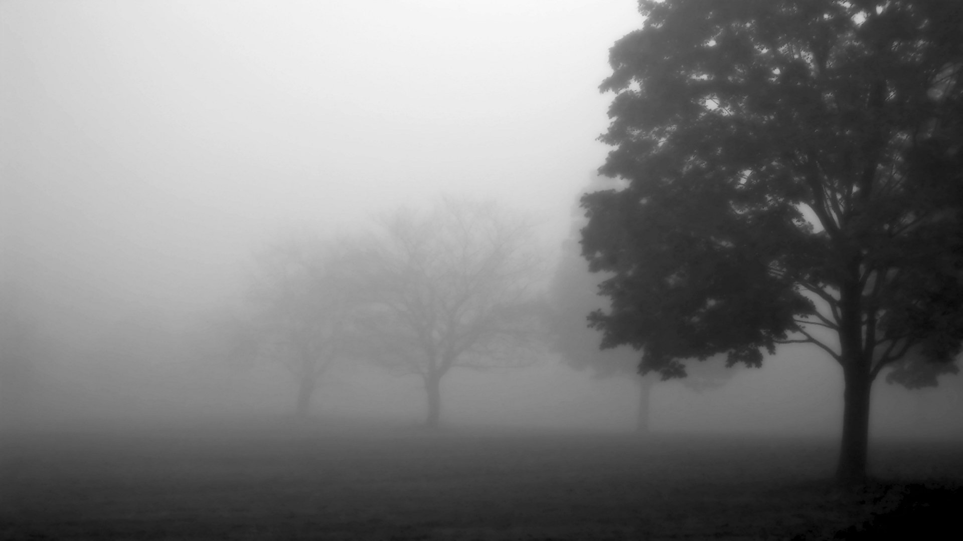 Free download Fog wallpaper ID:400429 hd 1920x1080 for computer