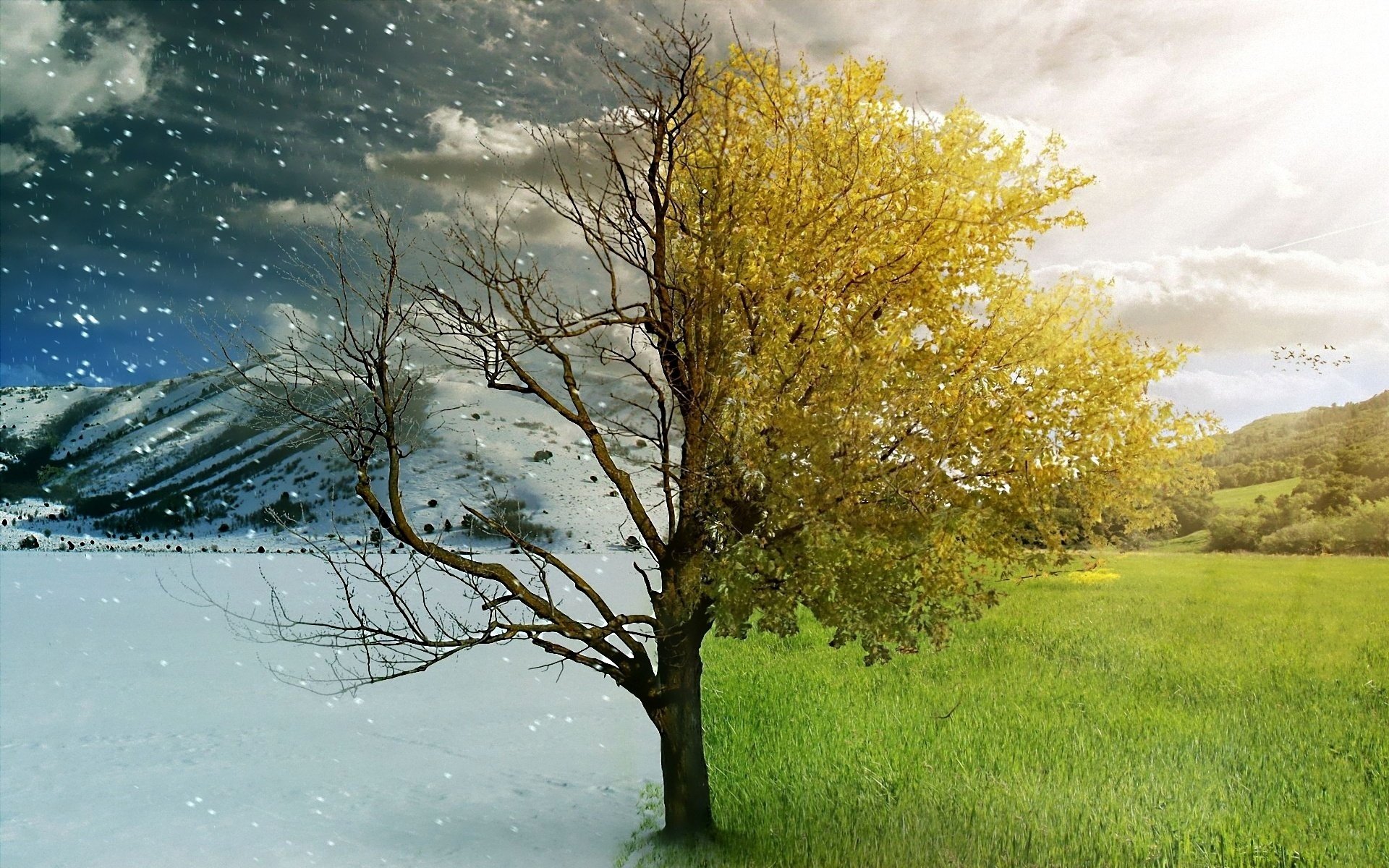 Awesome Season free background ID:53774 for hd 1920x1200 computer