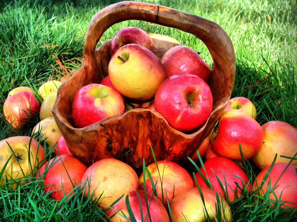 Best Apple fruit background ID:296131 for High Resolution hd 1024x768 PC