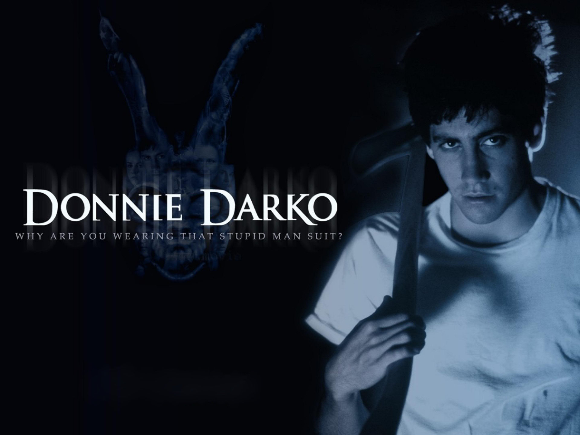 Free Donnie Darko high quality wallpaper ID:89871 for hd 1920x1440 desktop