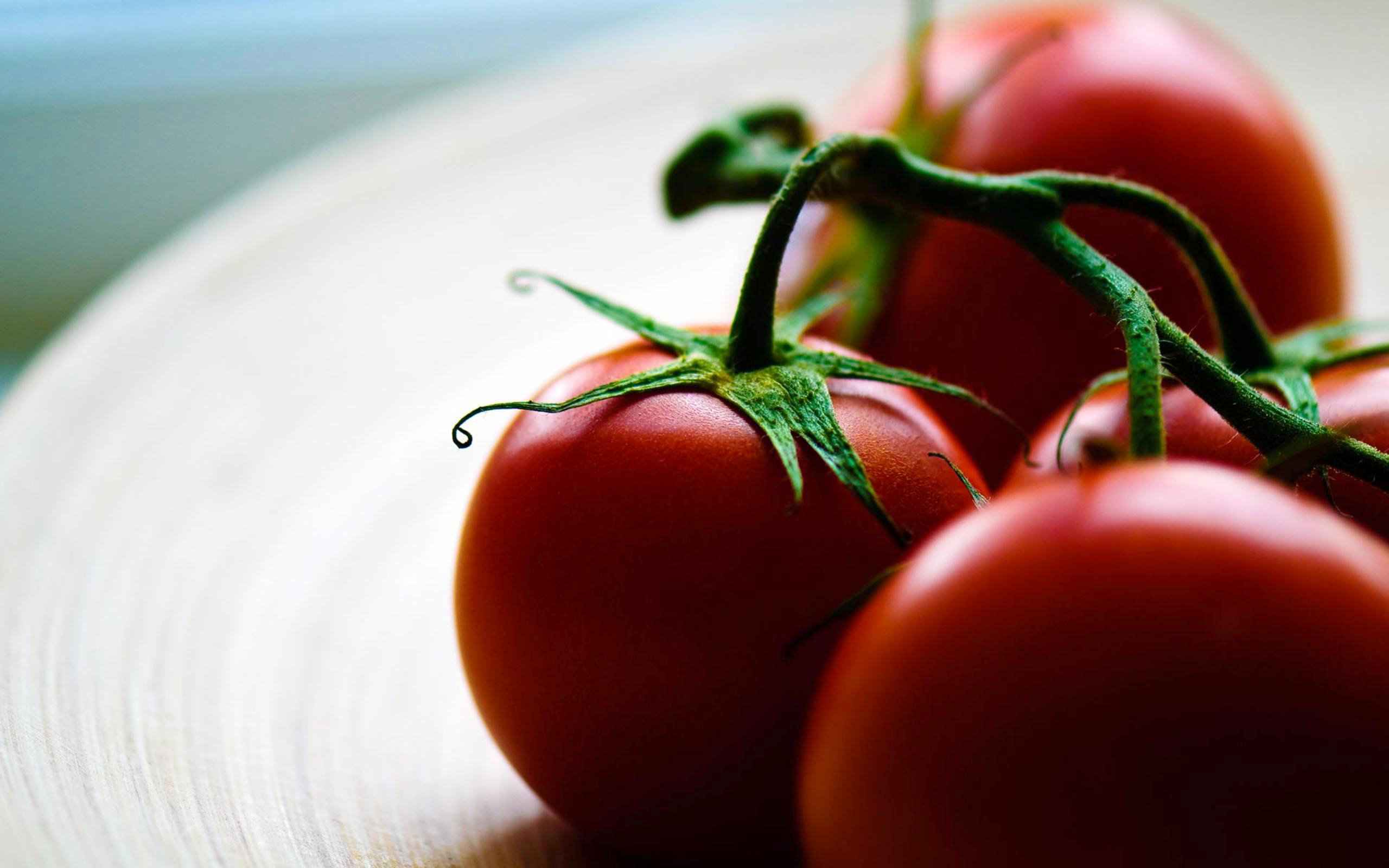 Best Tomato wallpaper ID:95386 for High Resolution hd 2560x1600 PC