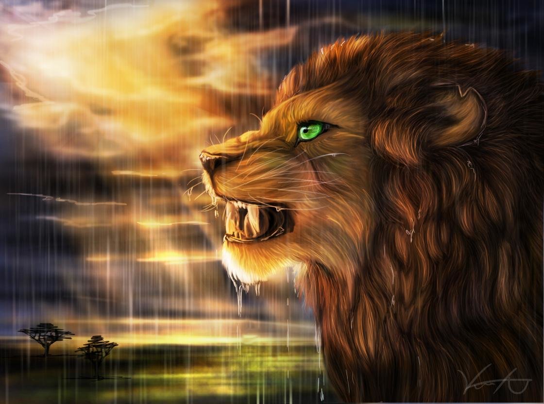 Free download Lion wallpaper ID:255624 hd 1120x832 for PC
