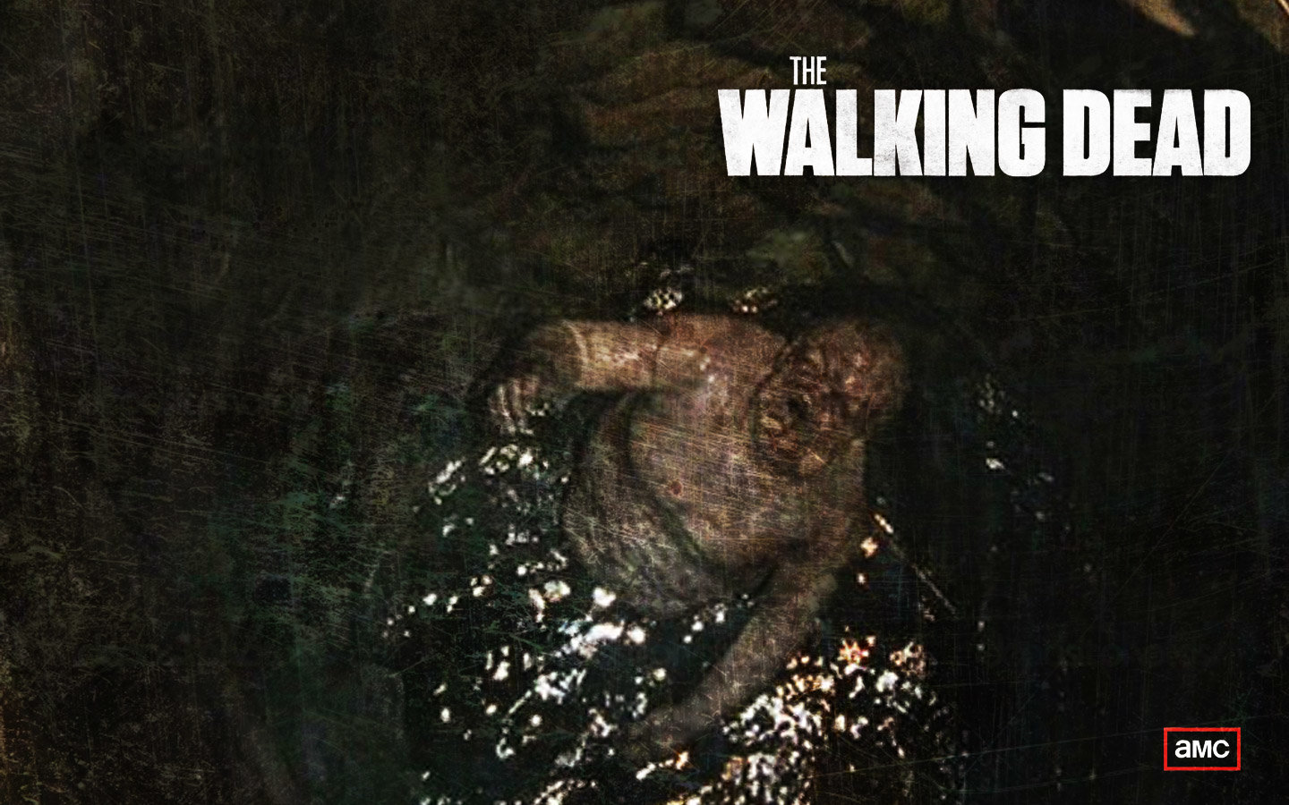 Free The Walking Dead high quality background ID:190648 for hd 1440x900 PC