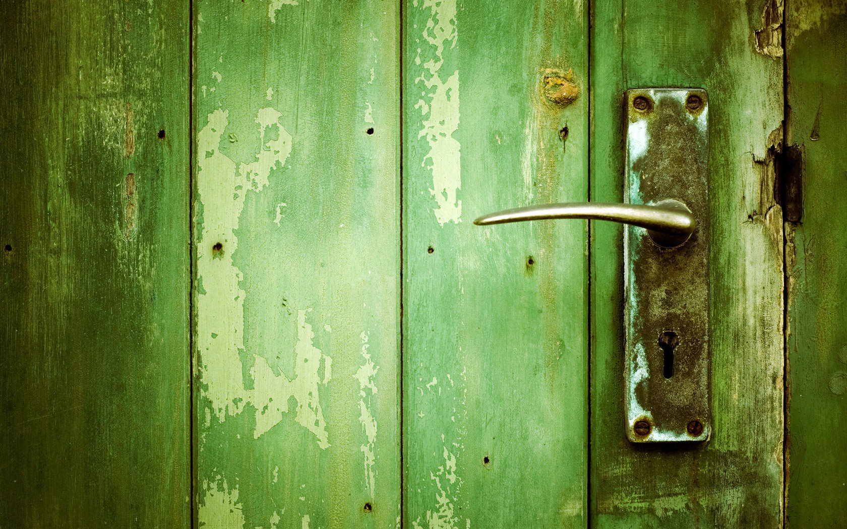 Awesome Door free wallpaper ID:271065 for hd 1680x1050 computer