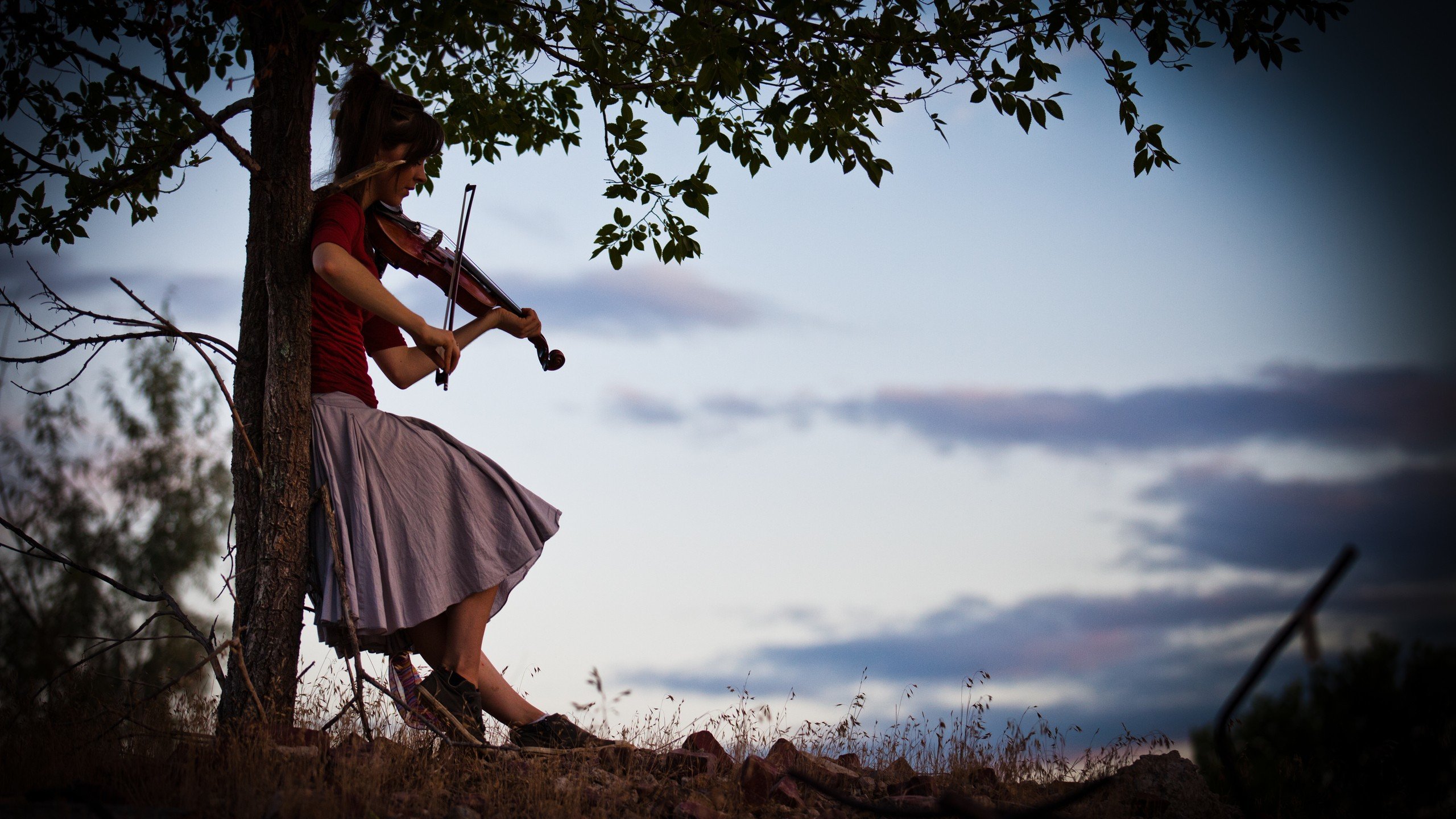 Download hd 2560x1440 Lindsey Stirling PC wallpaper ID:419691 for free