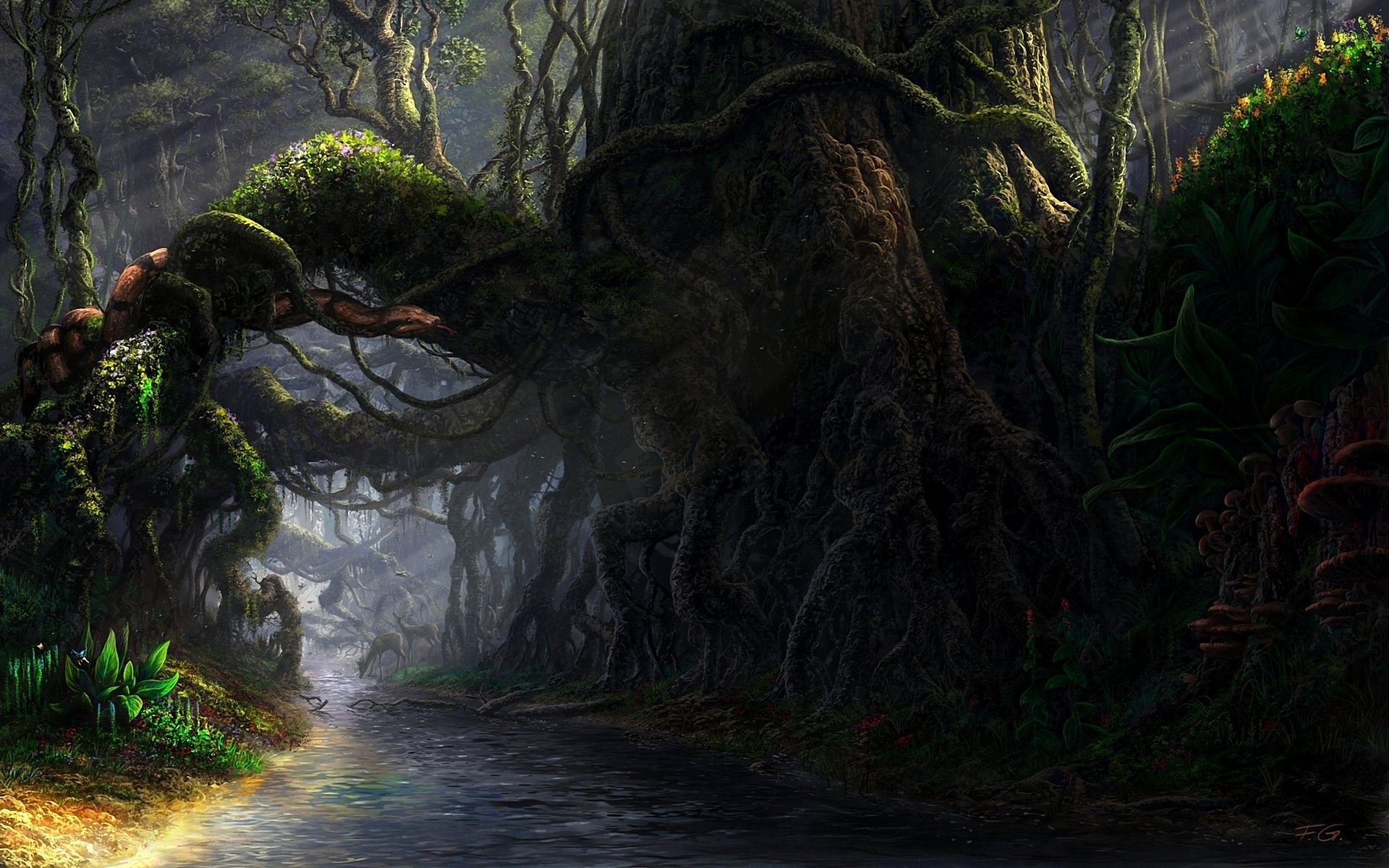 Fantasy forest wallpapers HD for desktop backgrounds