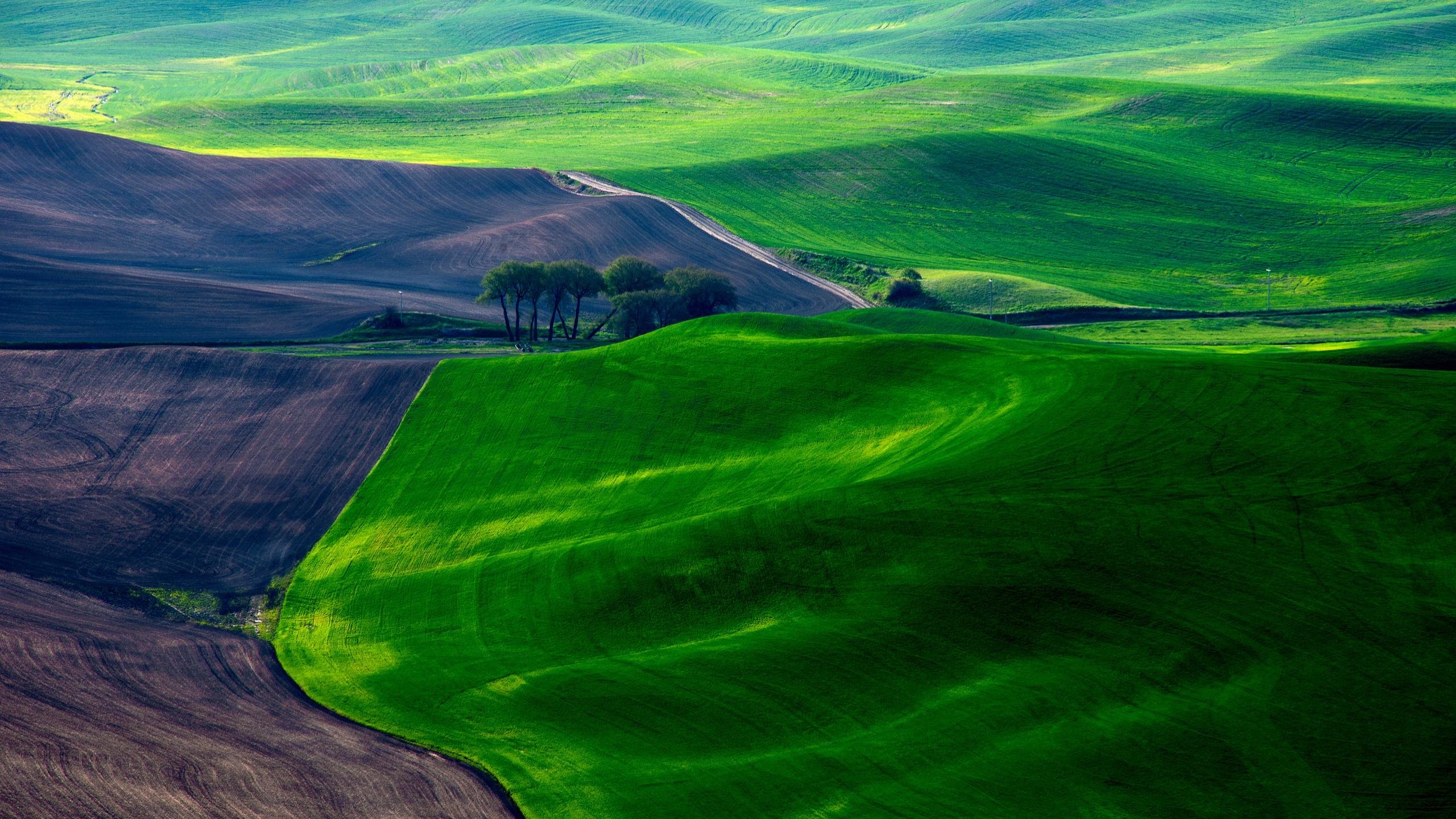 Best Field background ID:70404 for High Resolution hd 2560x1440 PC