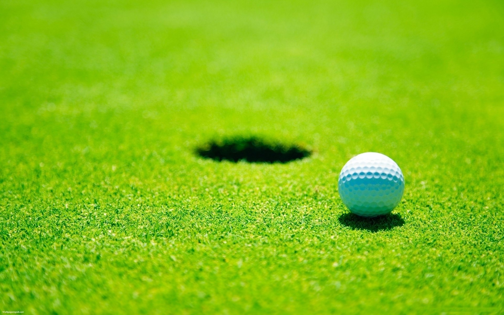 Free Golf high quality background ID:133263 for hd 1920x1200 computer