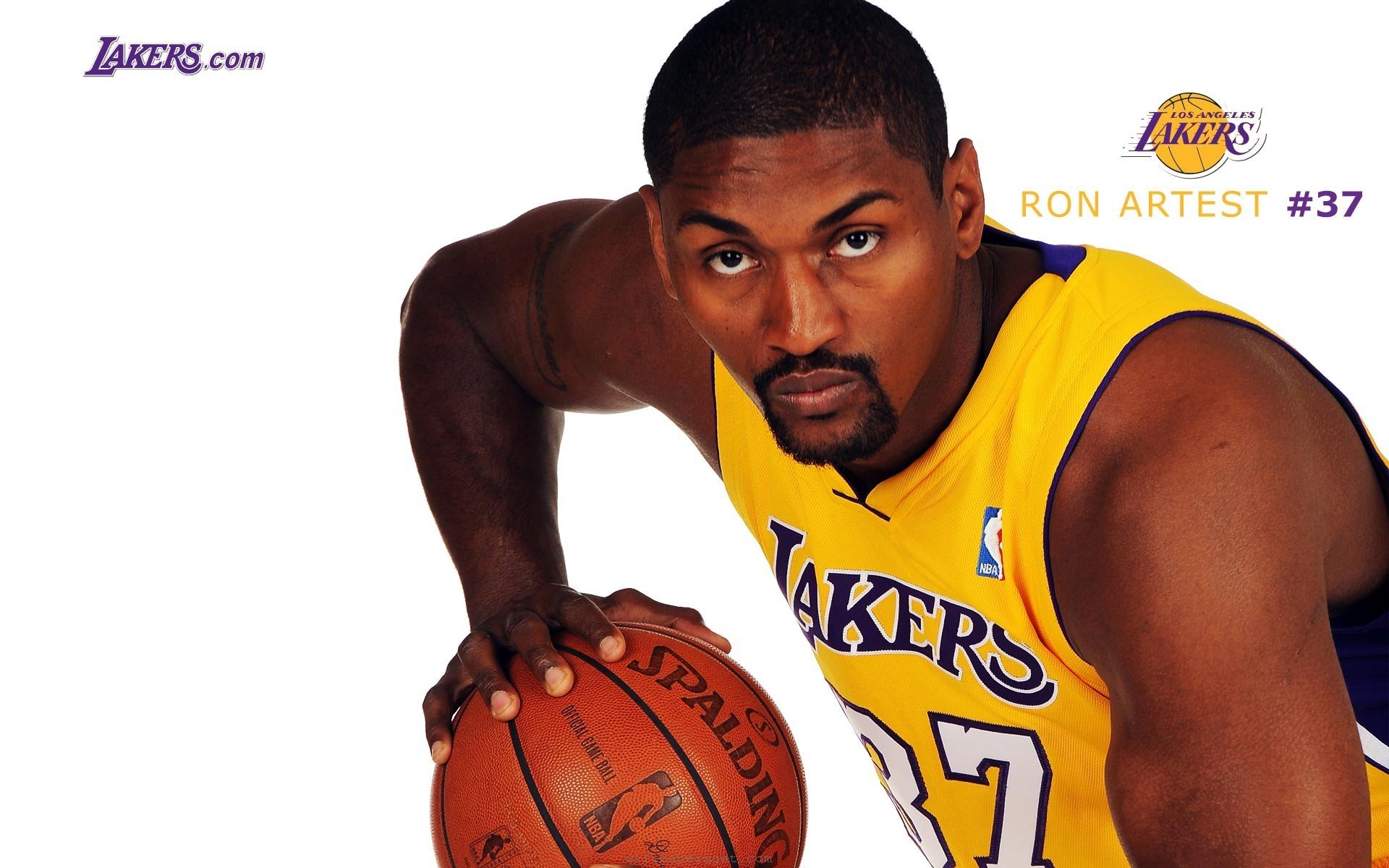 Awesome Los Angeles Lakers free background ID:387369 for hd 1920x1200 computer