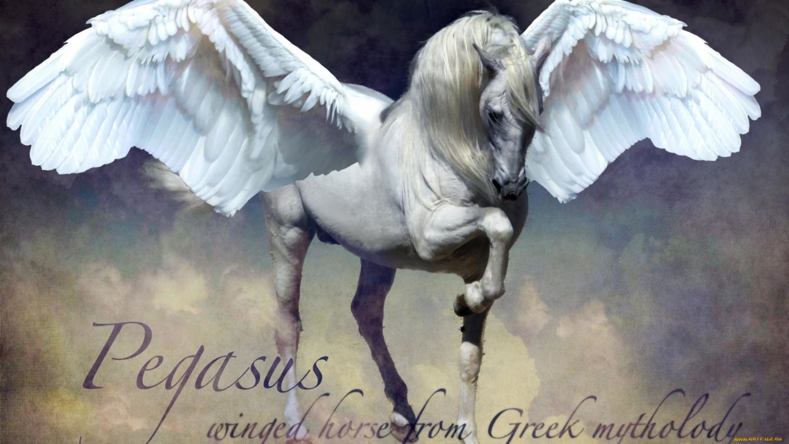 Awesome Pegasus free background ID:270846 for hd 1600x900 computer