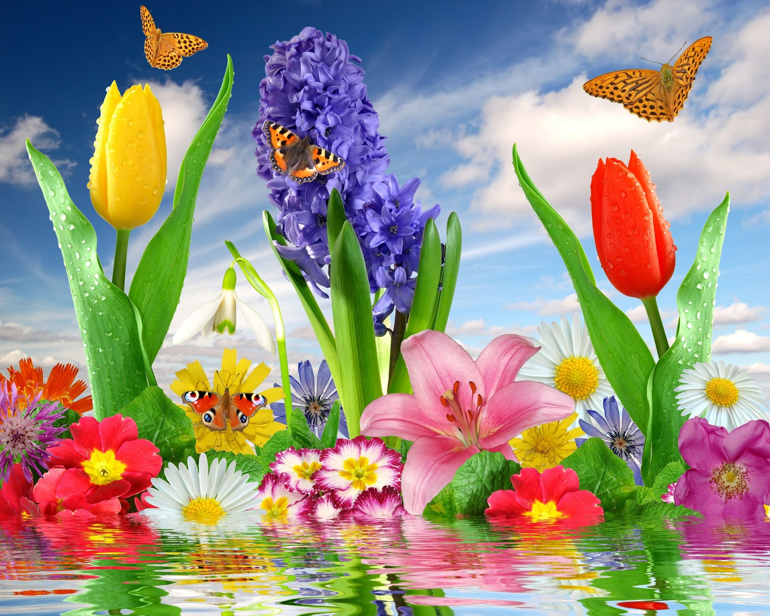 Free download Cool flower background ID:75896 hd 2560x2048 for PC