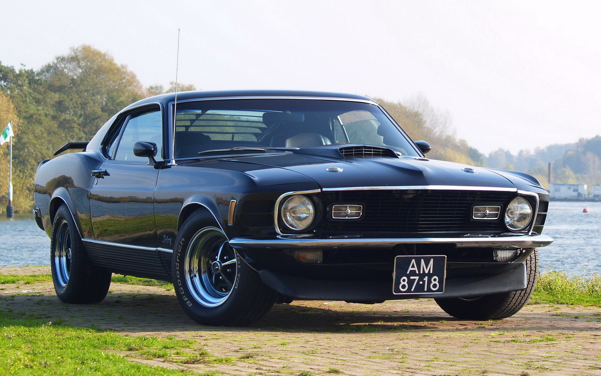 Awesome Ford Mustang free wallpaper ID:205582 for hd 1920x1200 PC