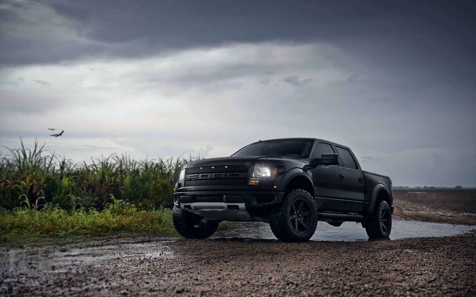 Awesome Ford Raptor free background ID:275782 for hd 1920x1200 PC