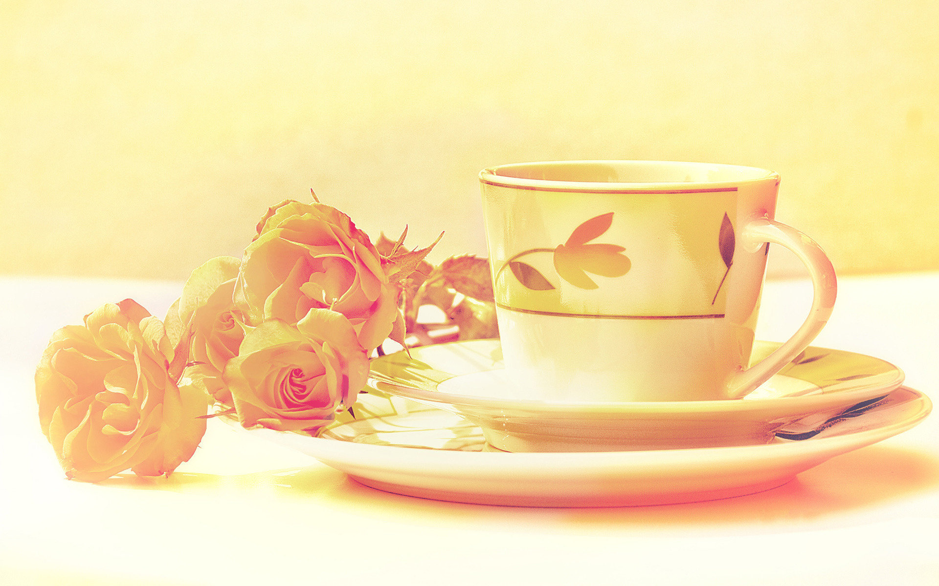 Download hd 1920x1200 Tea computer background ID:305140 for free