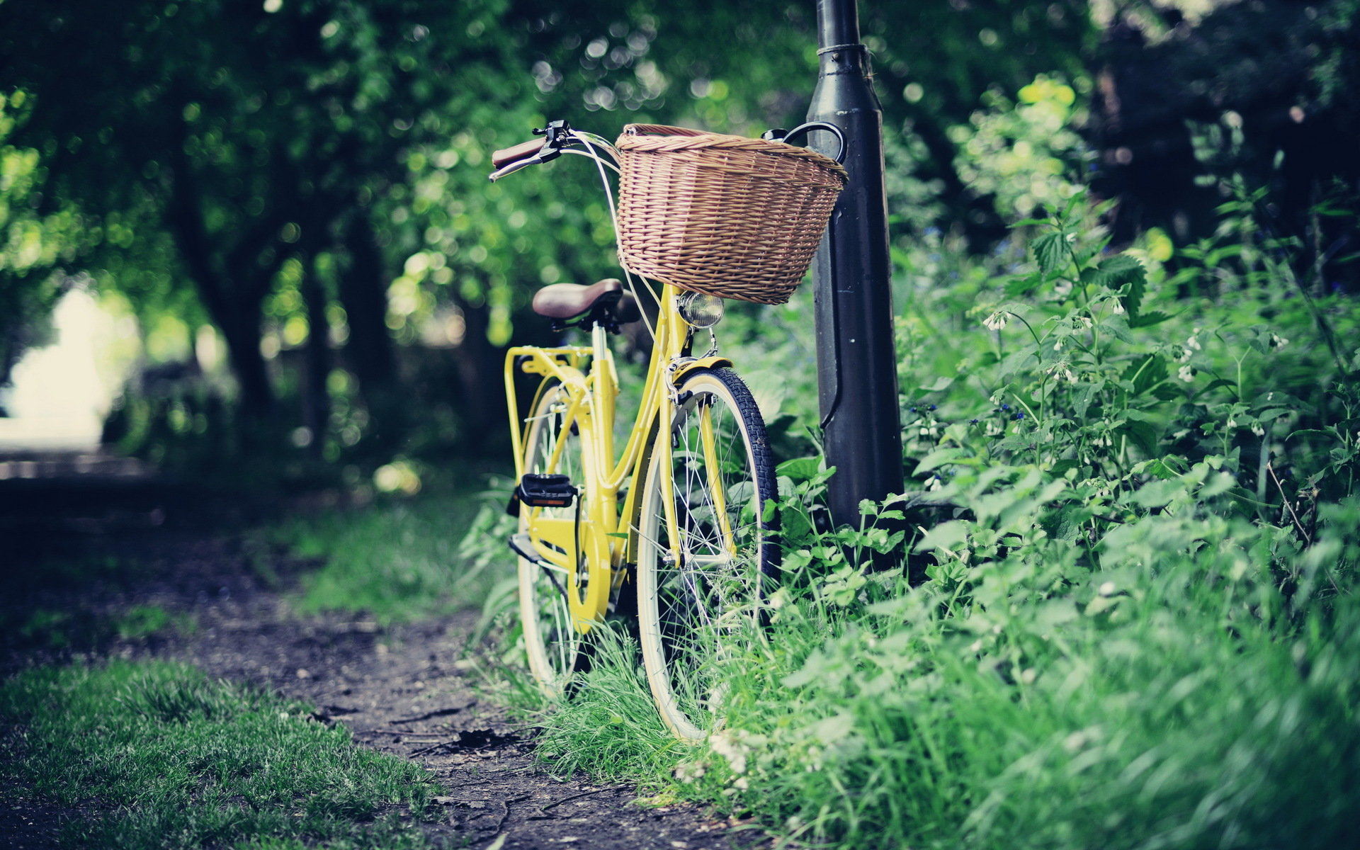 Free download Bicycle background ID:134958 hd 1920x1200 for computer