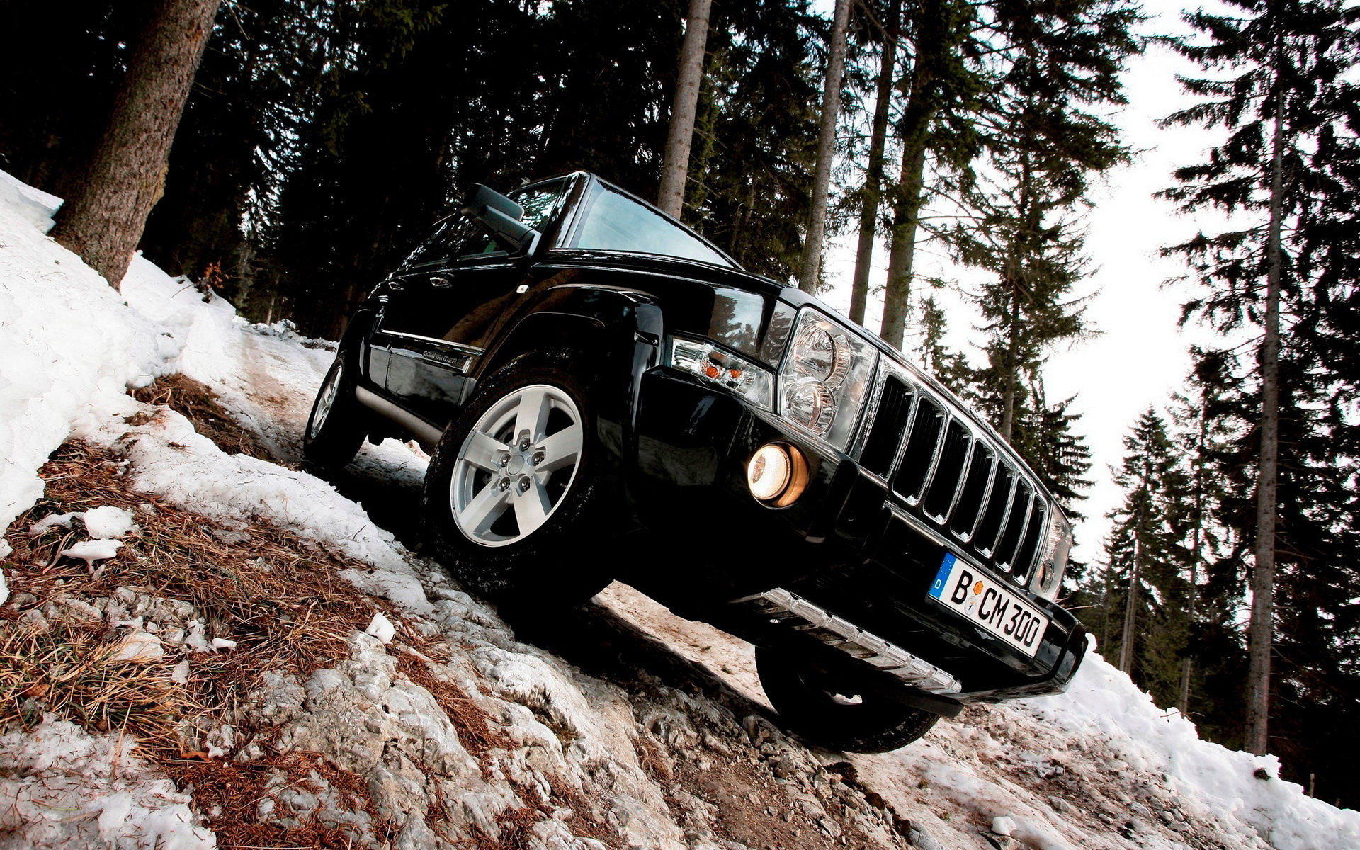 Free Jeep high quality background ID:139629 for hd 1920x1200 computer