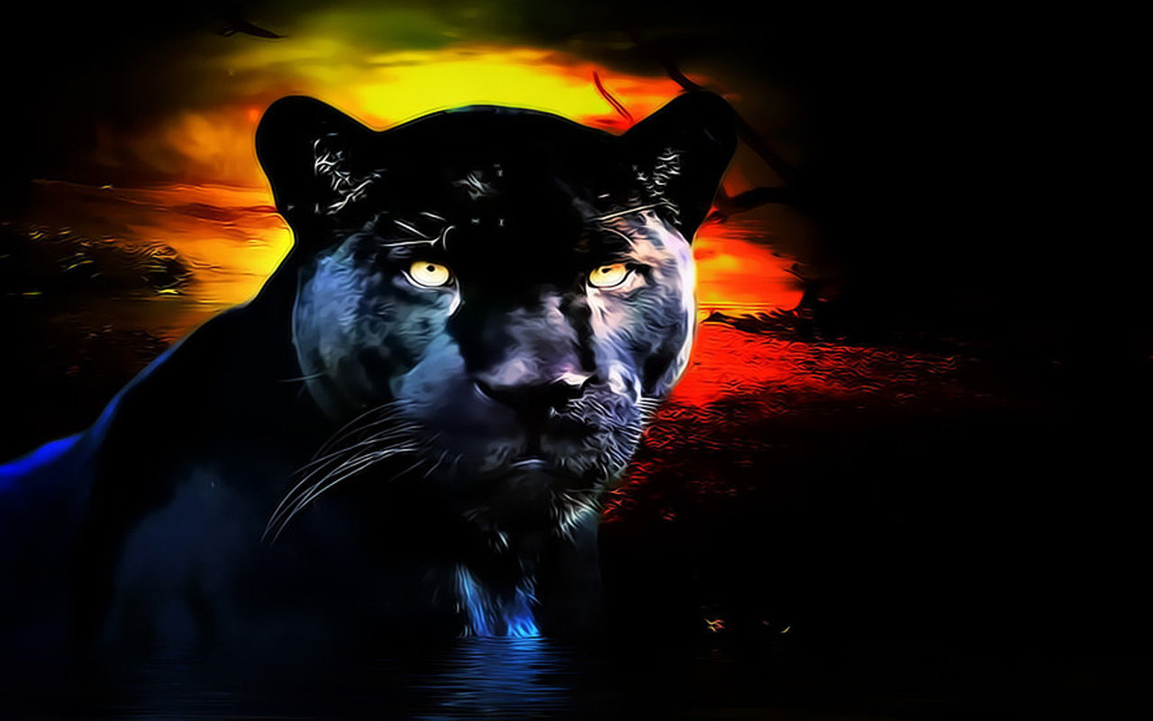 High resolution Panther hd 1280x800 background ID:357199 for computer