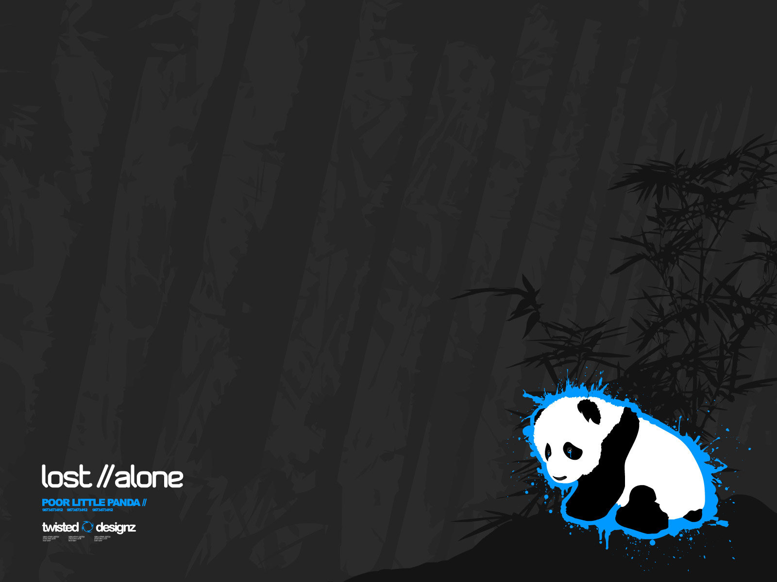 High resolution Panda hd 1600x1200 background ID:300432 for computer