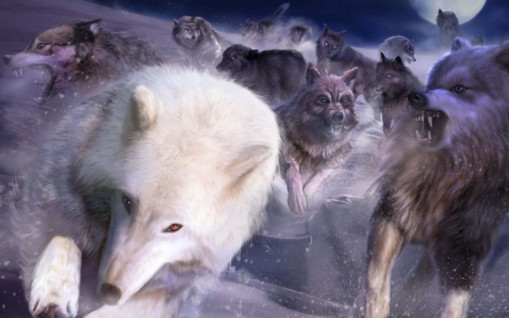 Free download Wolf background ID:117727 hd 1680x1050 for desktop