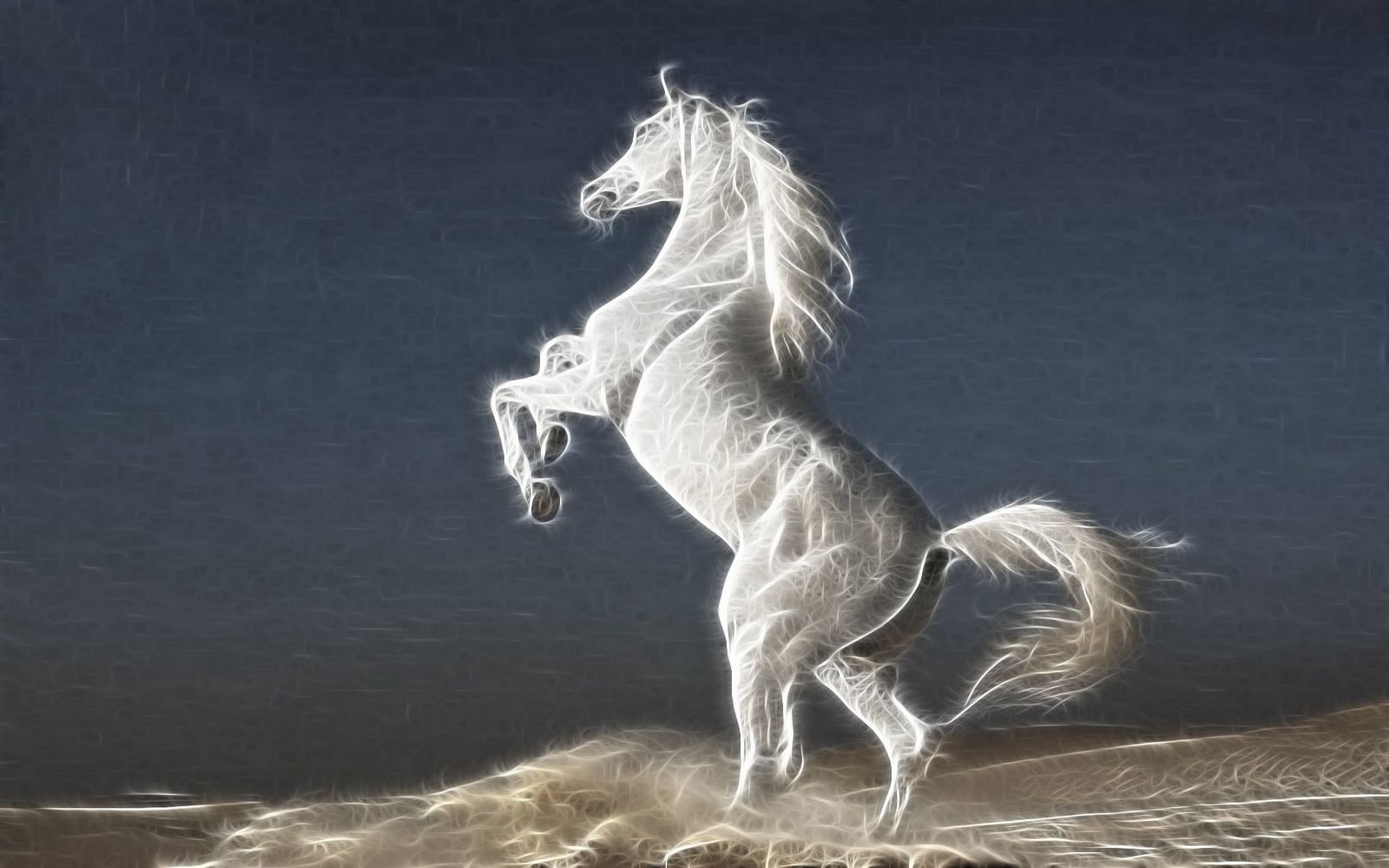 Free Horse high quality wallpaper ID:23193 for hd 2560x1600 PC